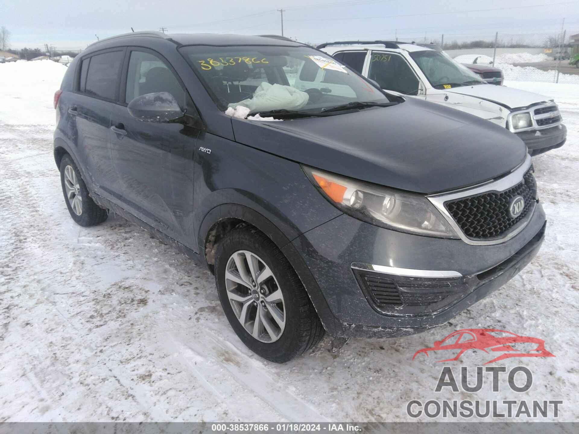 KIA SPORTAGE 2016 - KNDPBCAC8G7797621