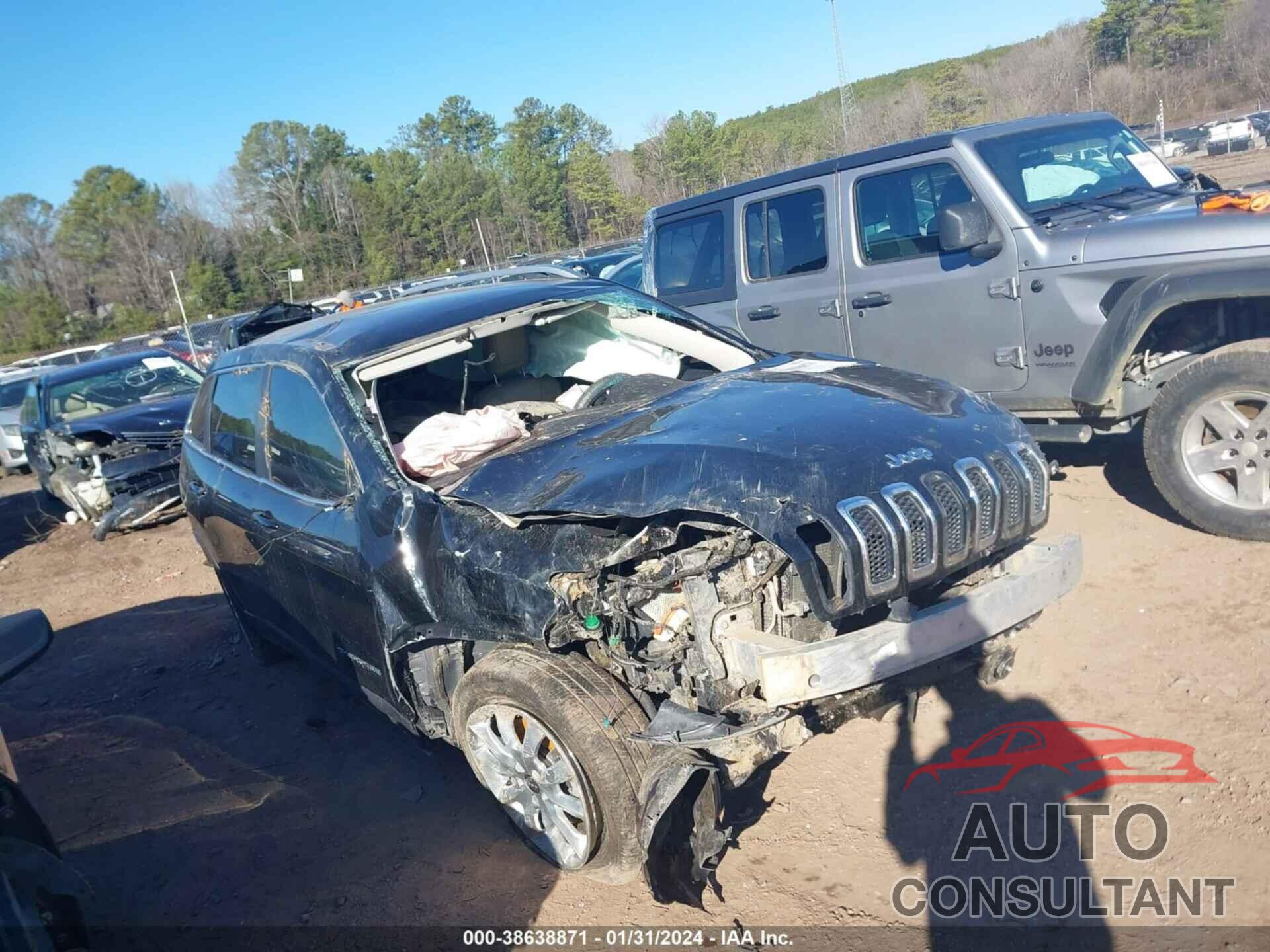 JEEP CHEROKEE 2017 - 1C4PJLDB0HW539705