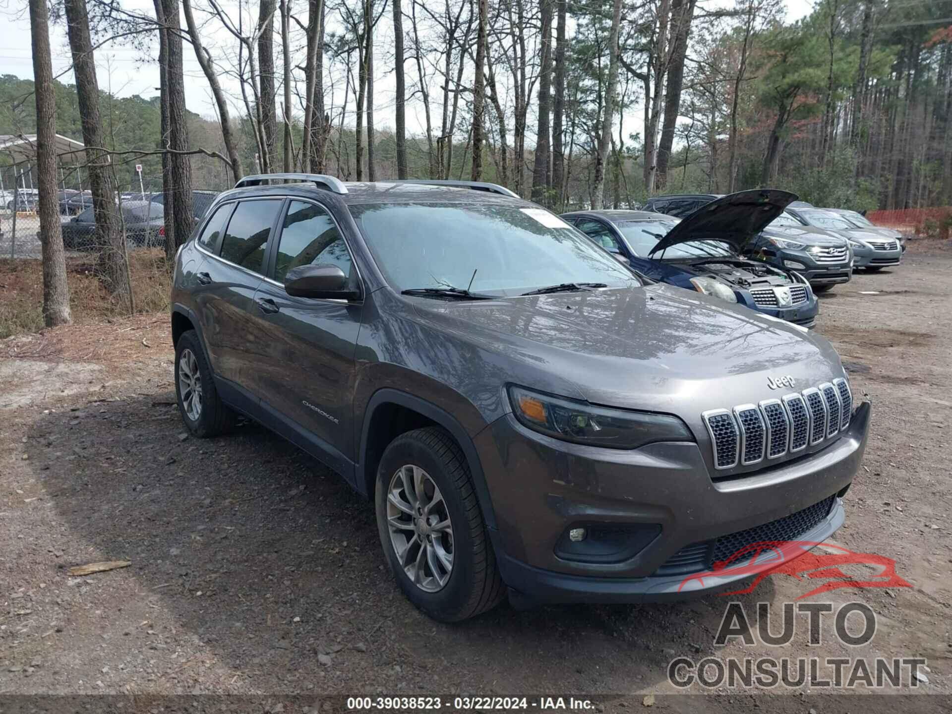 JEEP CHEROKEE 2019 - 1C4PJMLB1KD181573