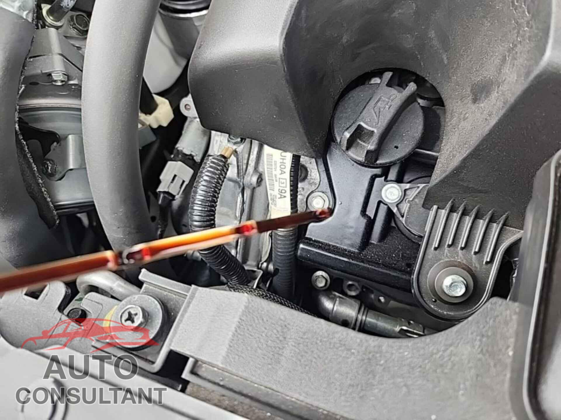 NISSAN MURANO 2023 - 5N1AZ2BS8PC113431