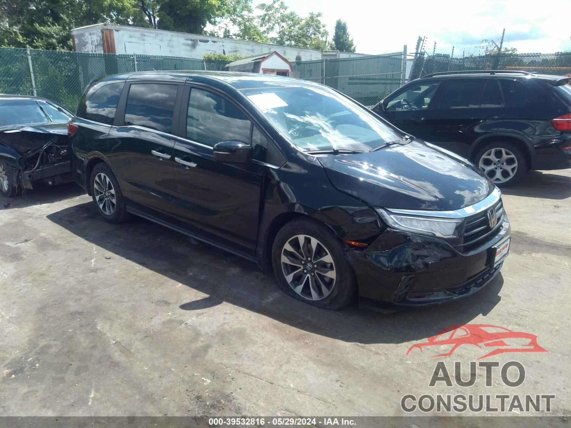 HONDA ODYSSEY 2024 - 5FNRL6H64RB022494