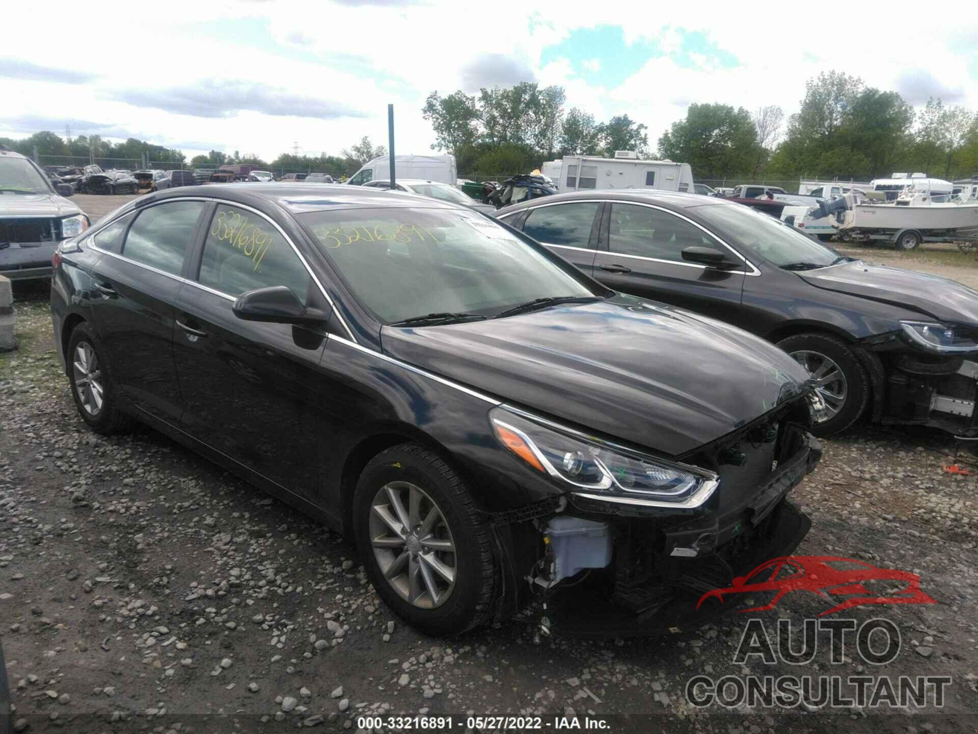 HYUNDAI SONATA 2019 - 5NPE24AF7KH802609
