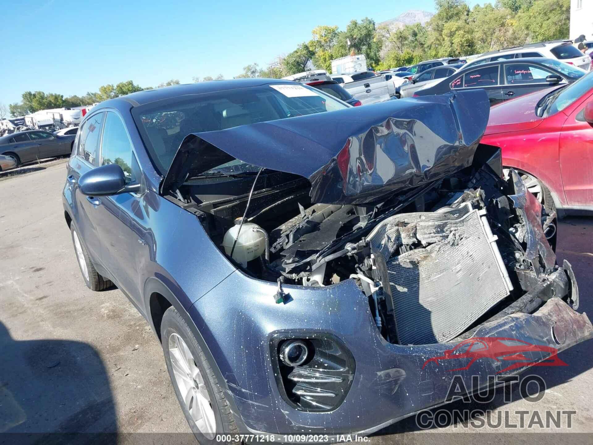 KIA SPORTAGE 2017 - KNDPMCAC7H7123259