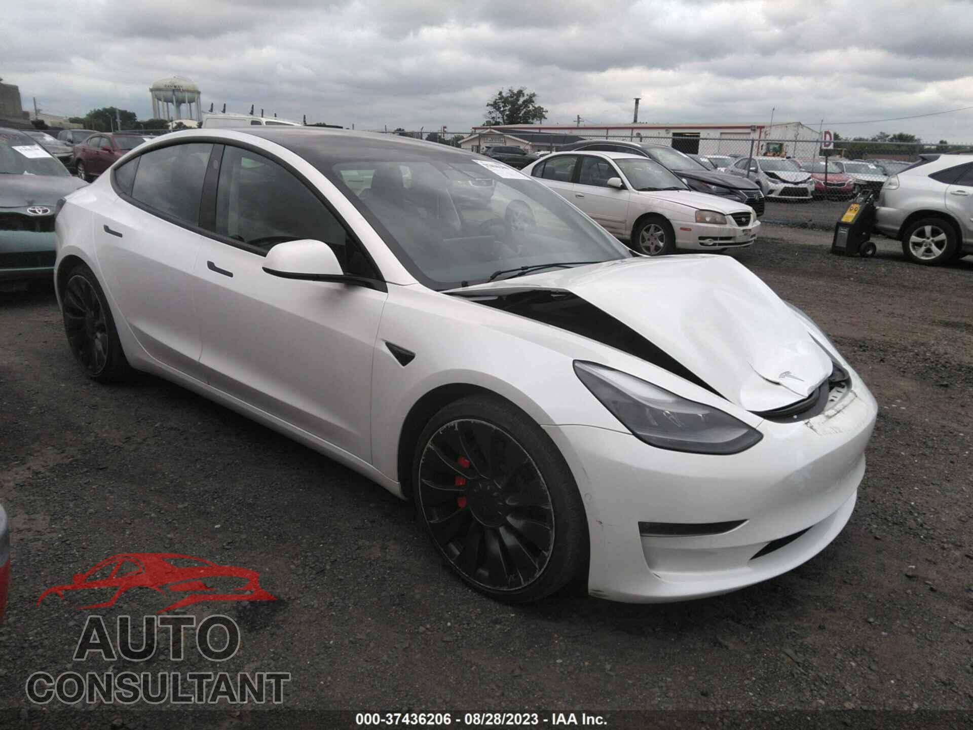 TESLA MODEL 3 2021 - 5YJ3E1EC9MF094829