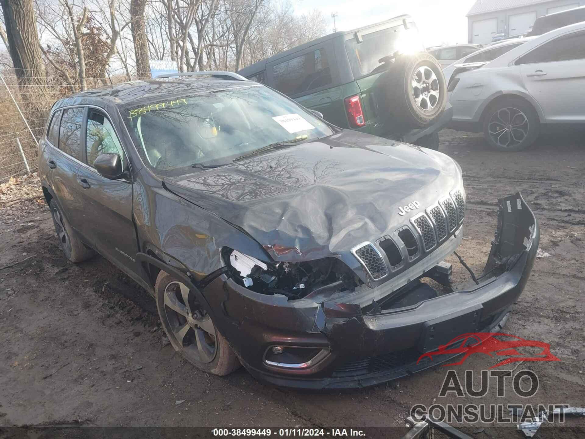 JEEP CHEROKEE 2019 - 1C4PJLDB3KD403040