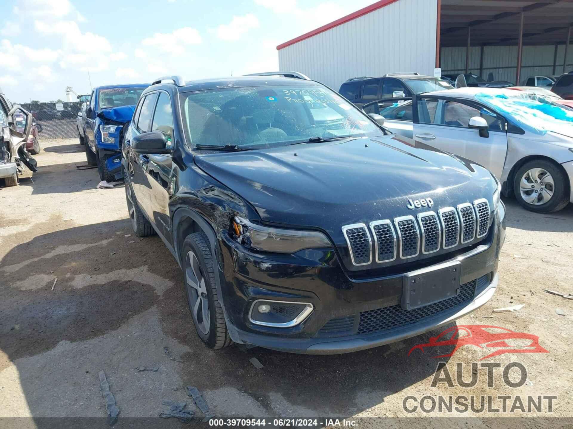 JEEP CHEROKEE 2019 - 1C4PJLDB0KD172002