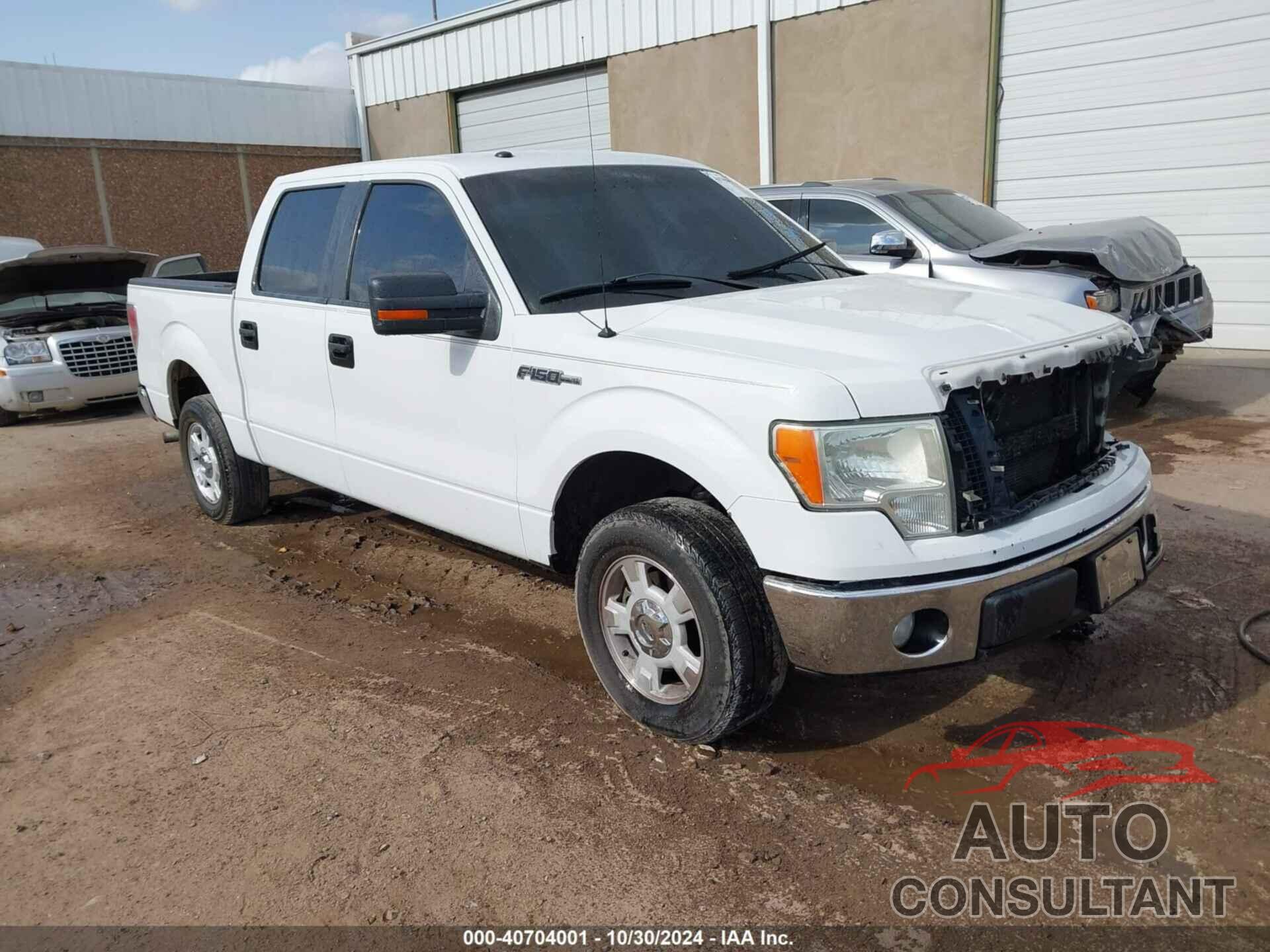 FORD F-150 2009 - 1FTRW12819FA70437