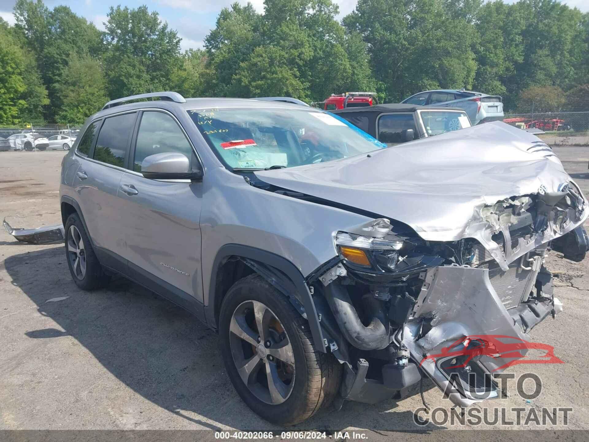 JEEP CHEROKEE 2019 - 1C4PJMDX4KD399260