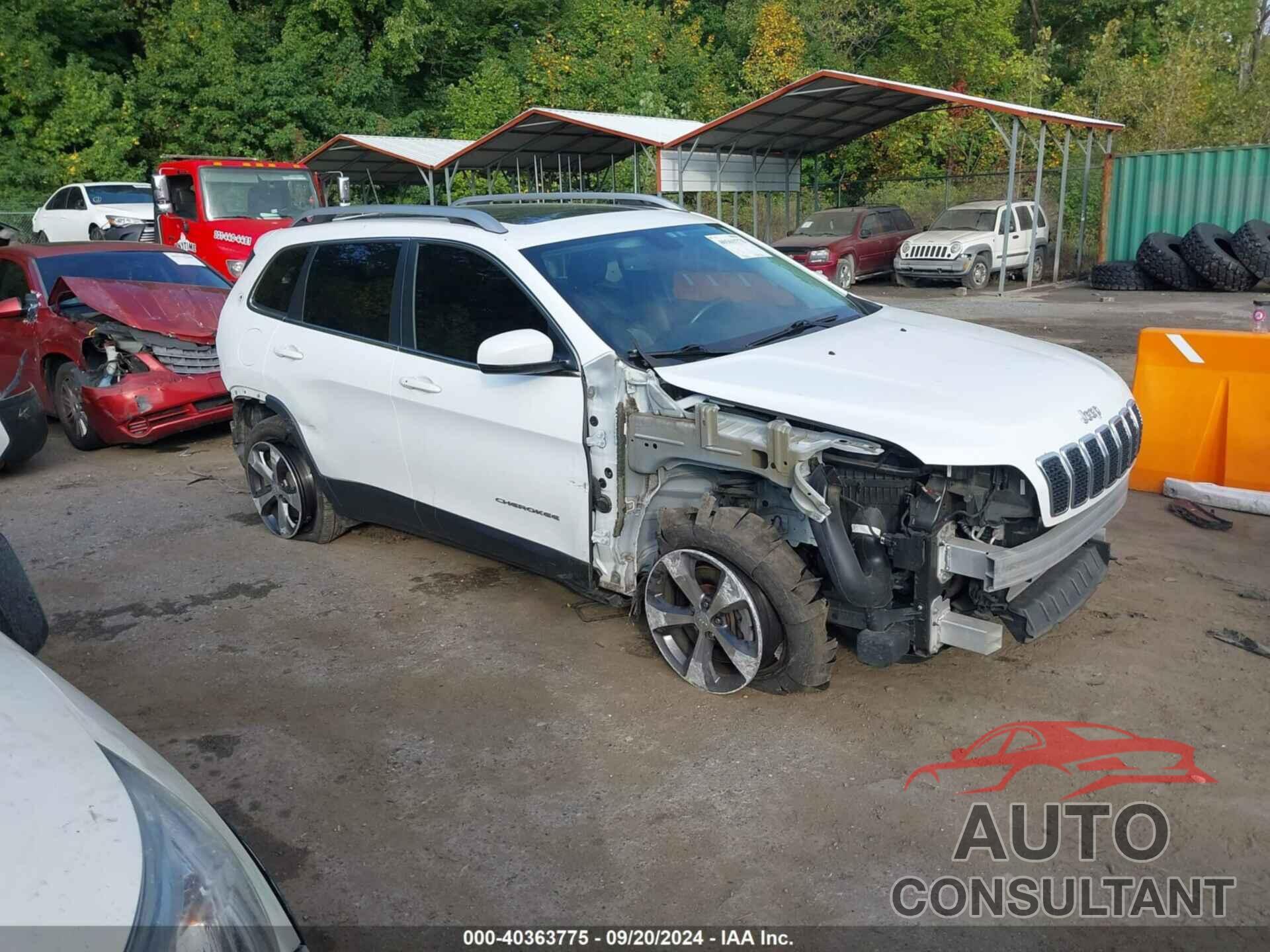 JEEP CHEROKEE 2019 - 1C4PJMDX1KD121870