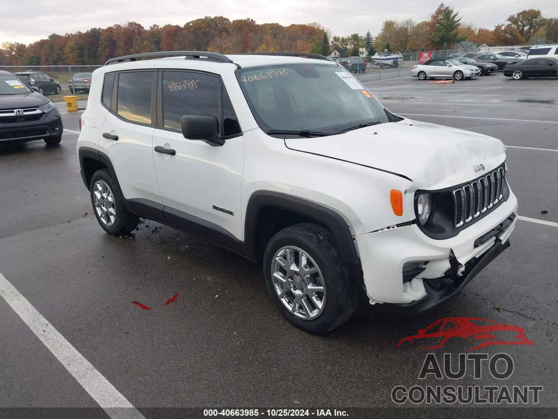JEEP RENEGADE 2019 - ZACNJBAB0KPK67924