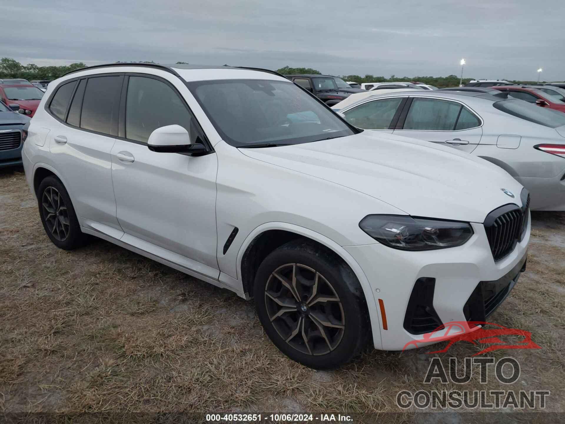 BMW X3 2023 - 5UX53DP01P9P13276