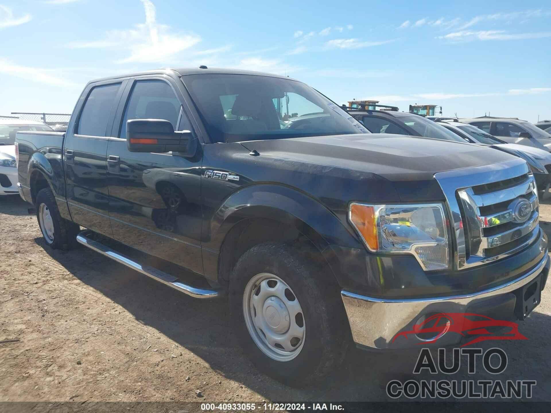 FORD F-150 2010 - 1FTEW1C83AFD55061