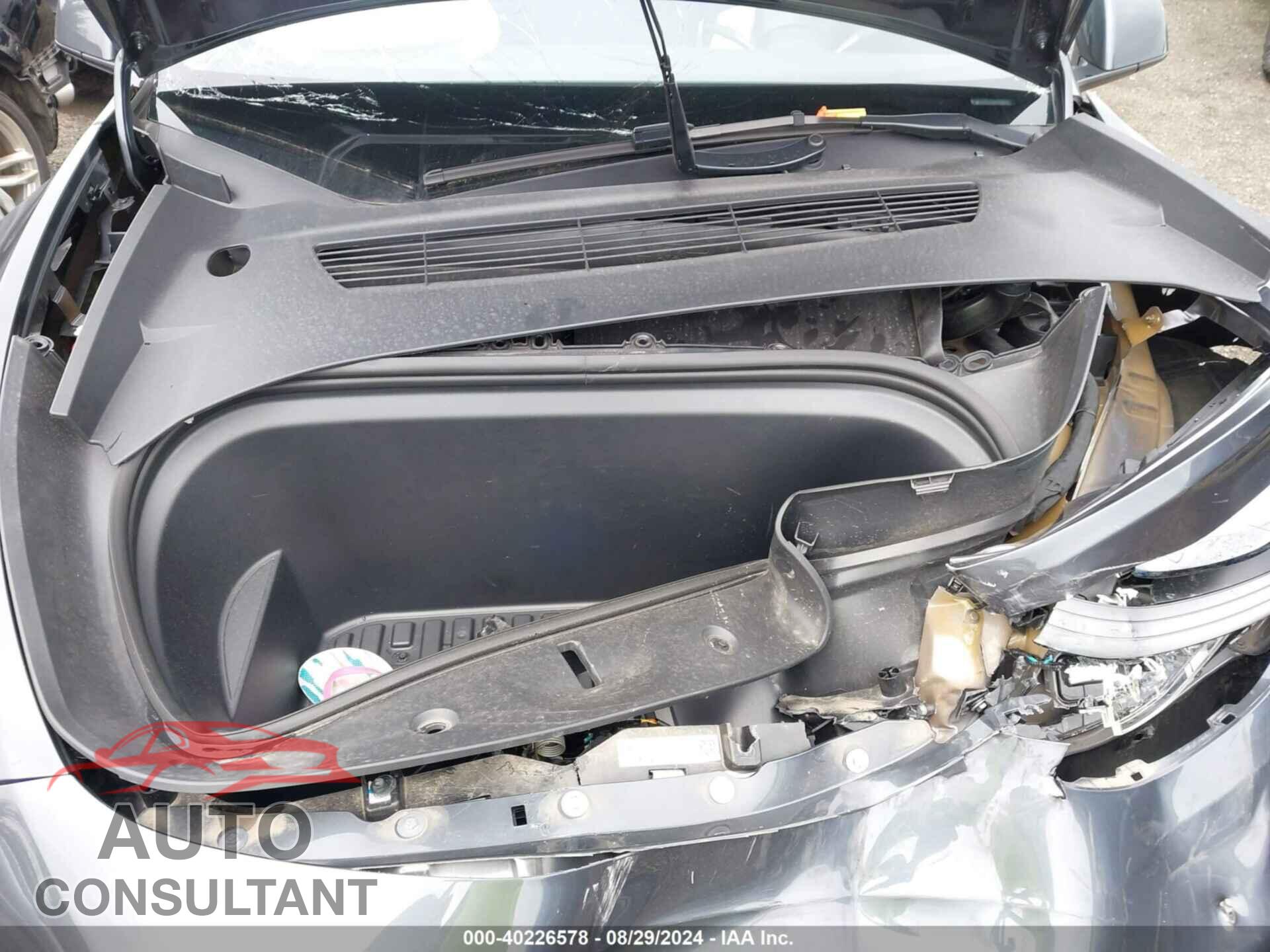 TESLA MODEL Y 2023 - 7SAYGAEE8PF898077