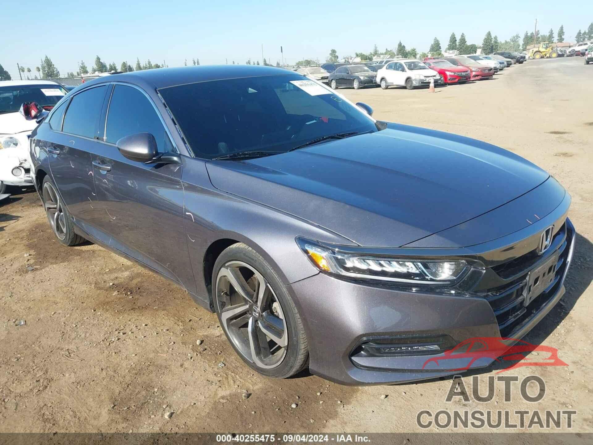 HONDA ACCORD 2019 - 1HGCV1F3XKA091234
