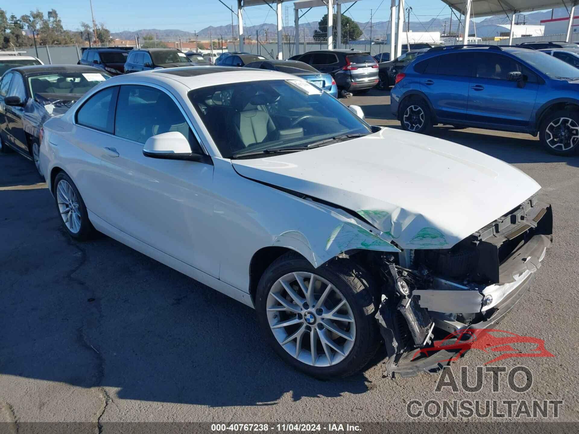 BMW 228I 2016 - WBA1F9C55GV545426