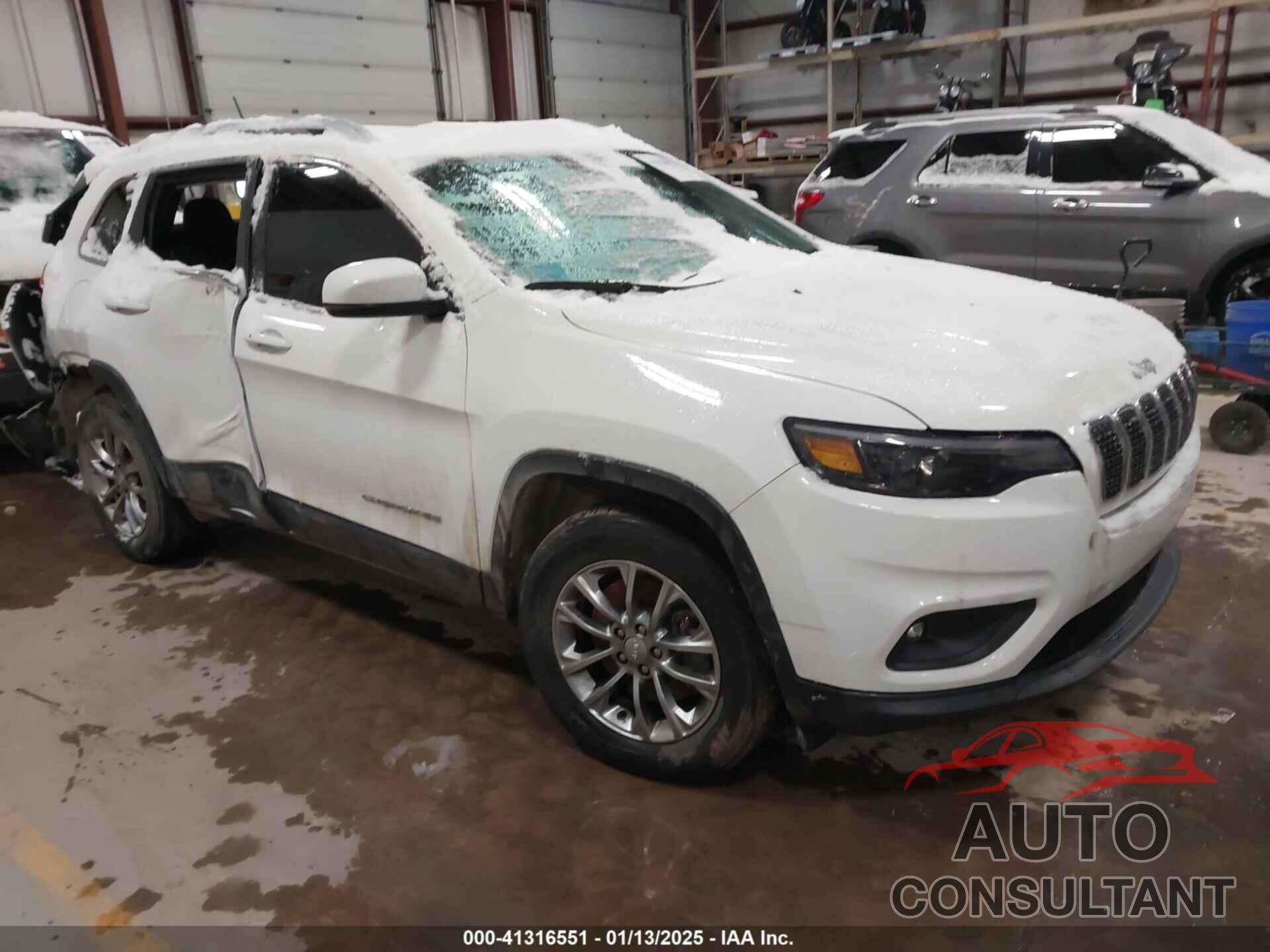 JEEP CHEROKEE 2020 - 1C4PJMLX1LD631137