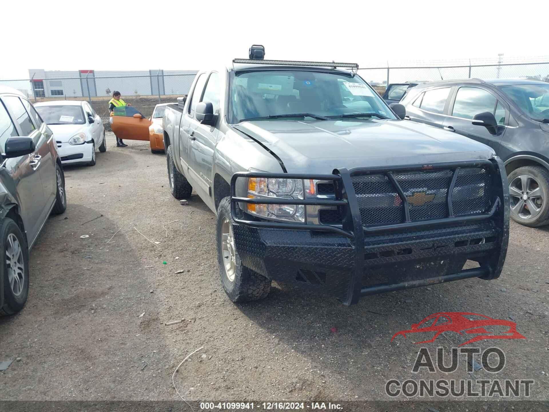 CHEVROLET SILVERADO 1500 2009 - 1GCEK29J19Z201261