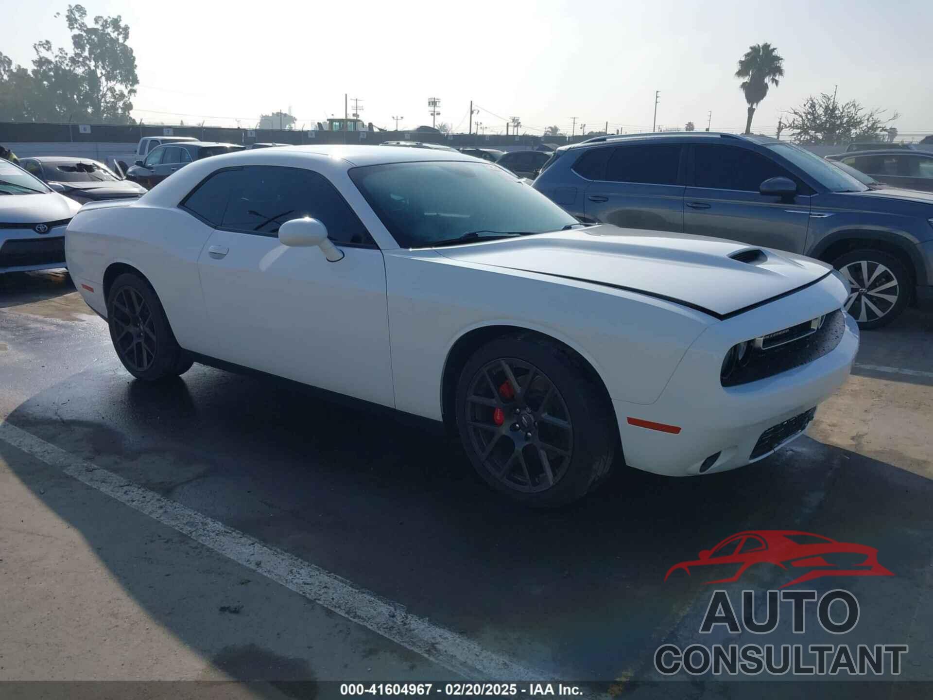 DODGE CHALLENGER 2019 - 2C3CDZJG7KH503920
