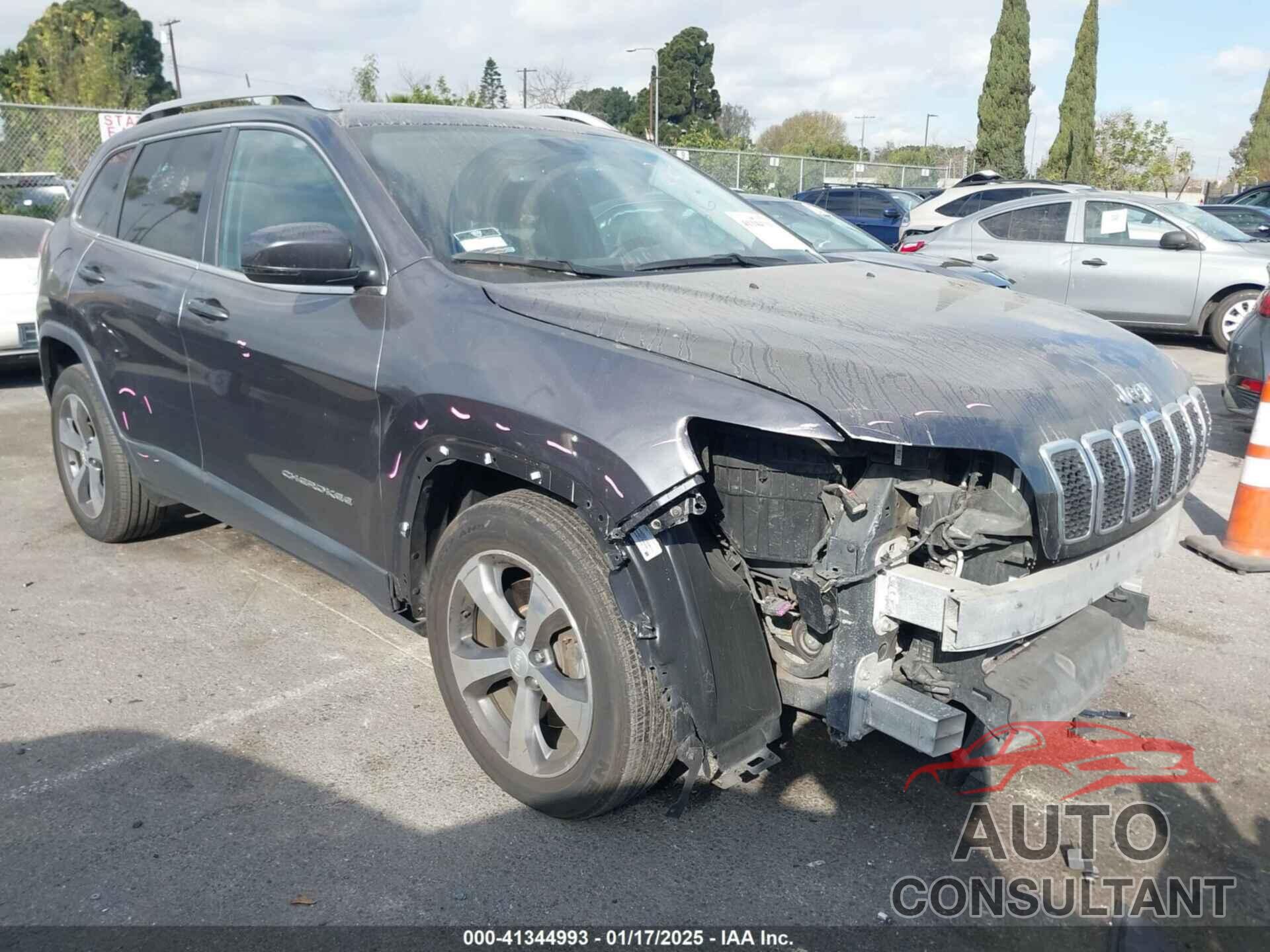 JEEP CHEROKEE 2019 - 1C4PJLDB7KD195888