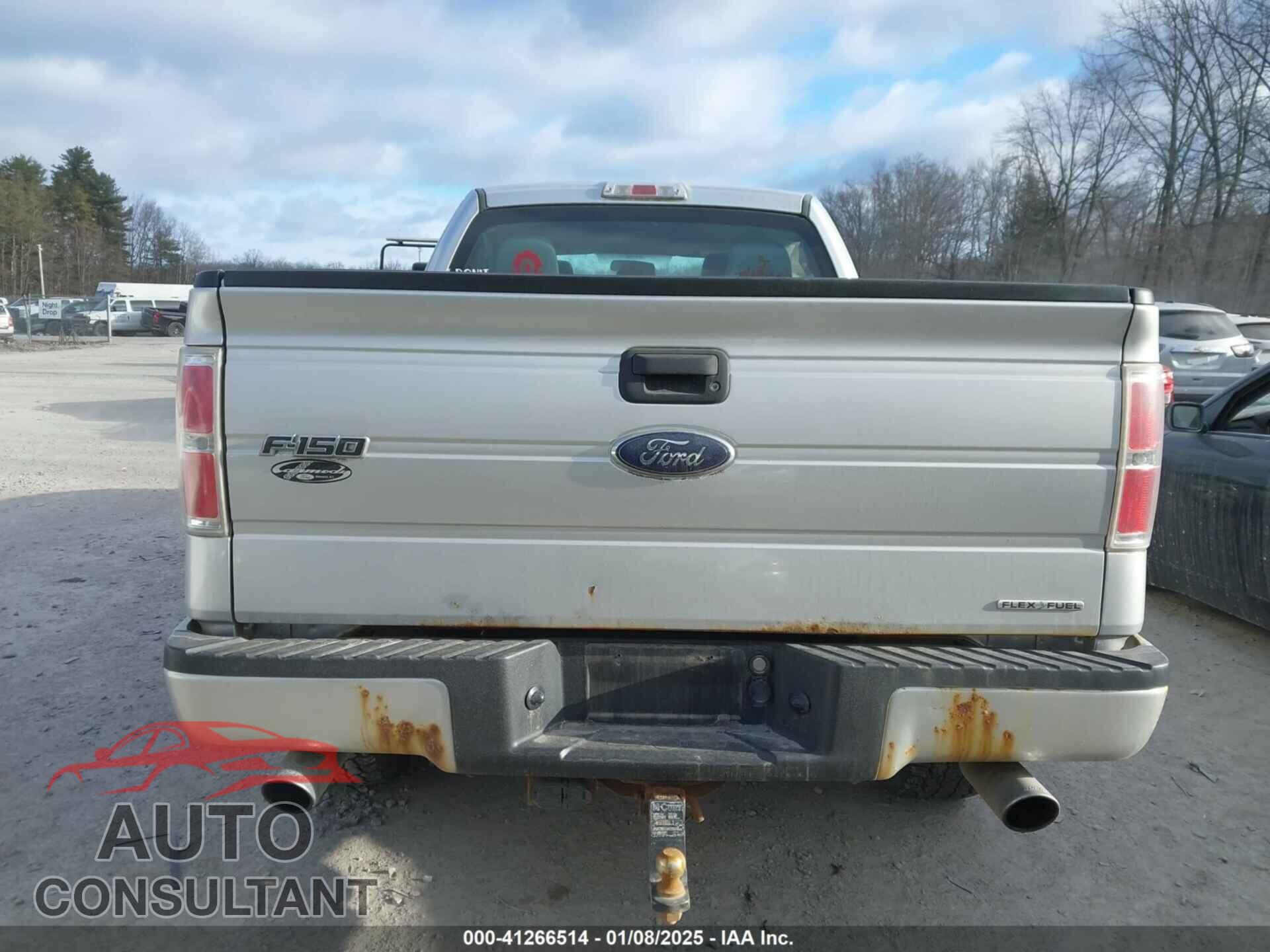 FORD F-150 2013 - 1FTFX1EF2DFD88635