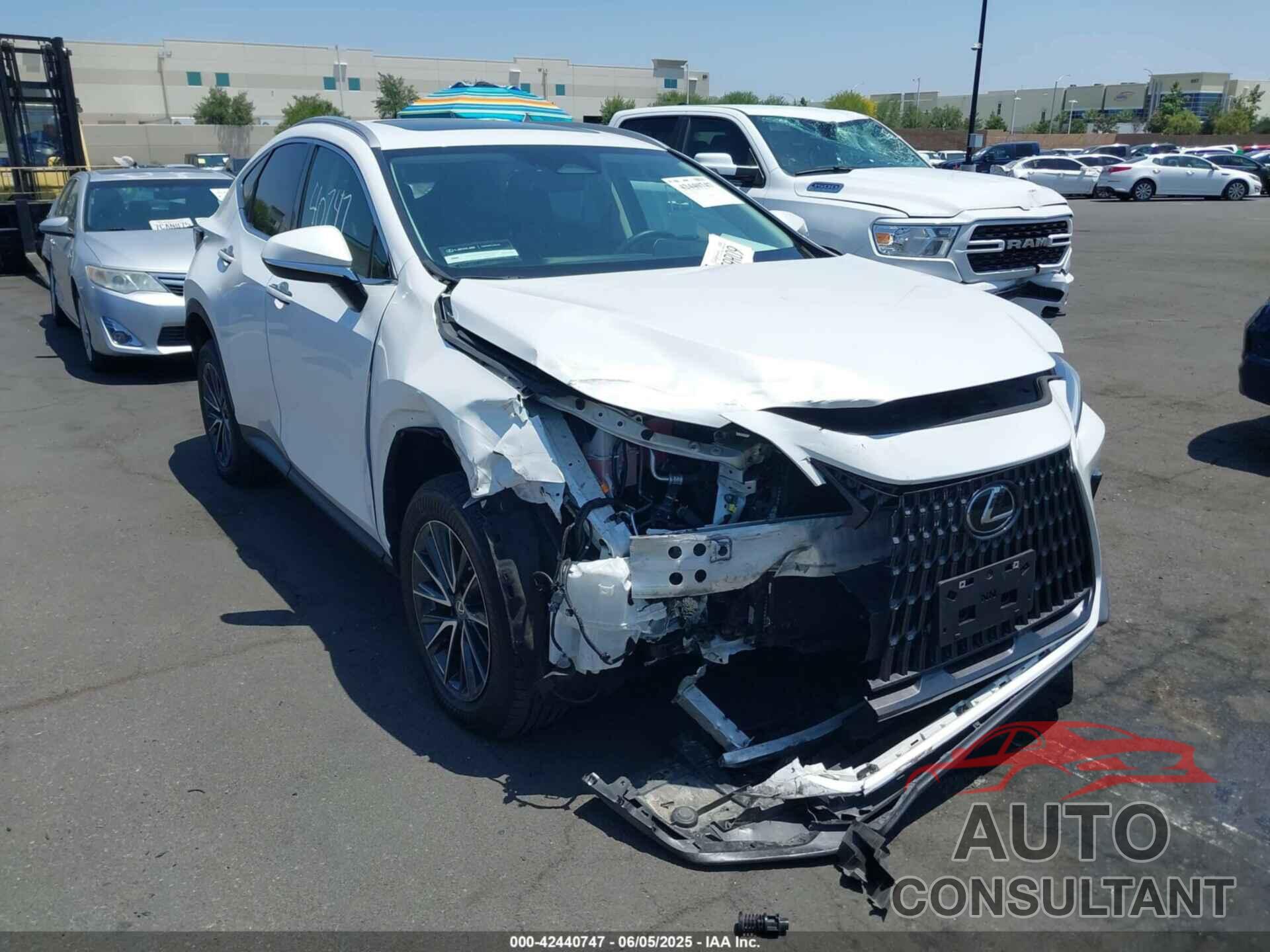 LEXUS NX 350 2022 - 2T2AGCEZ4NC008622
