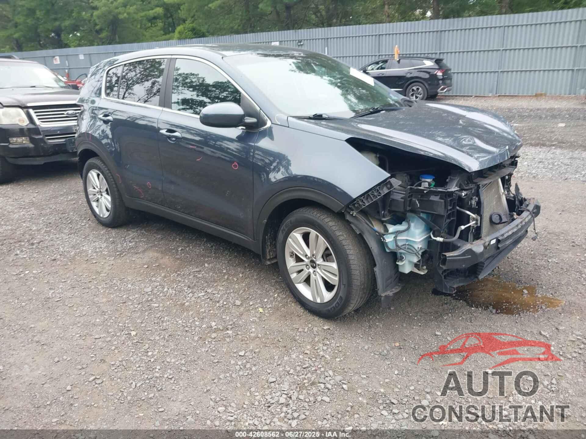 KIA SPORTAGE 2019 - KNDPM3AC9K7598693
