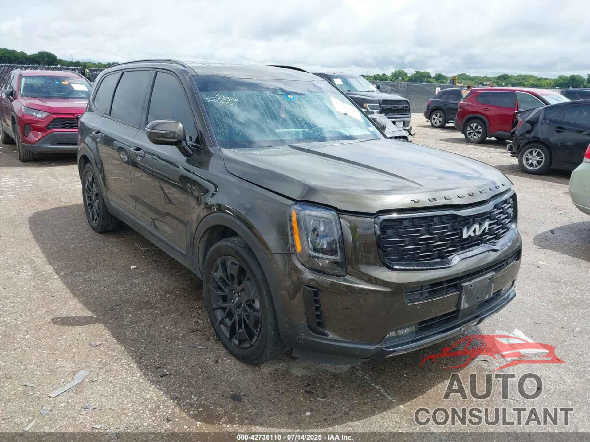 KIA TELLURIDE 2022 - 5XYP5DHC7NG306412