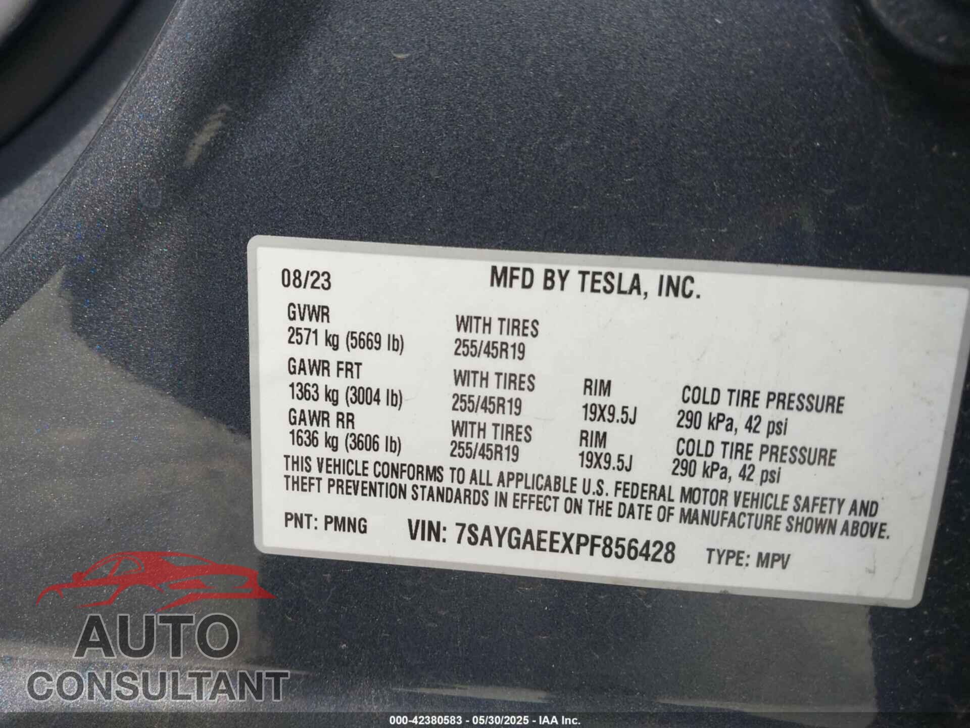 TESLA MODEL Y 2023 - 7SAYGAEEXPF856428