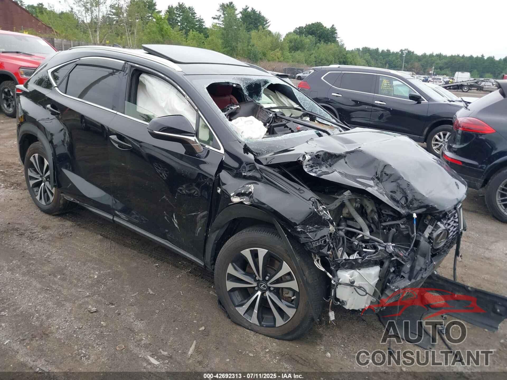LEXUS NX 300 2020 - JTJSARDZ3L5003286