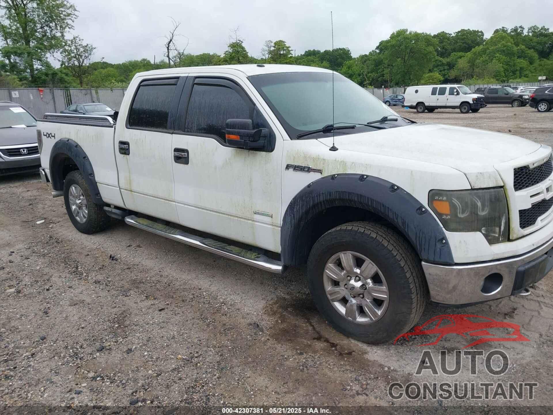 FORD F-150 2011 - 1FTFW1ET1BKD79504
