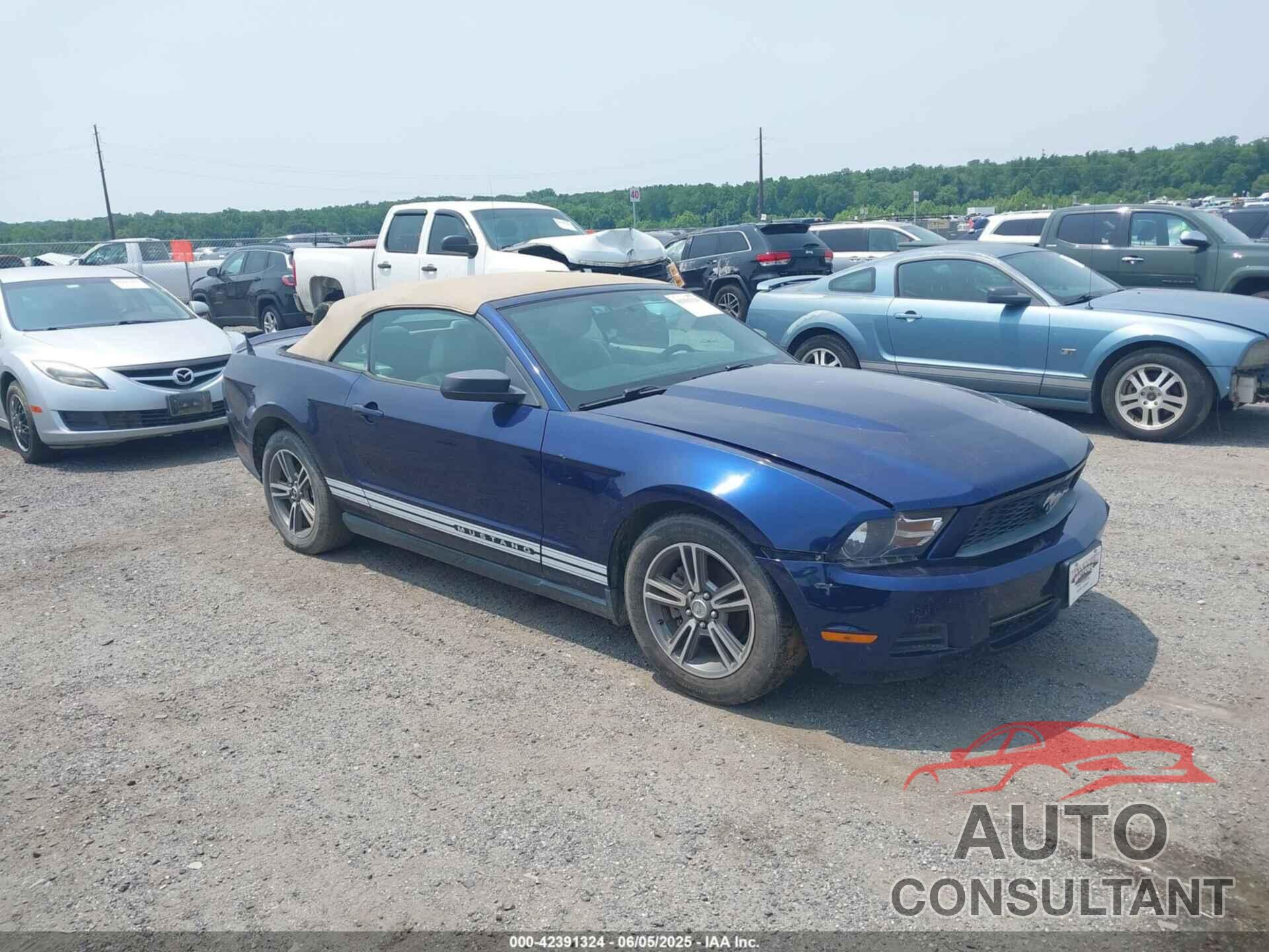 FORD MUSTANG 2010 - 1ZVBP8EN7A5171725