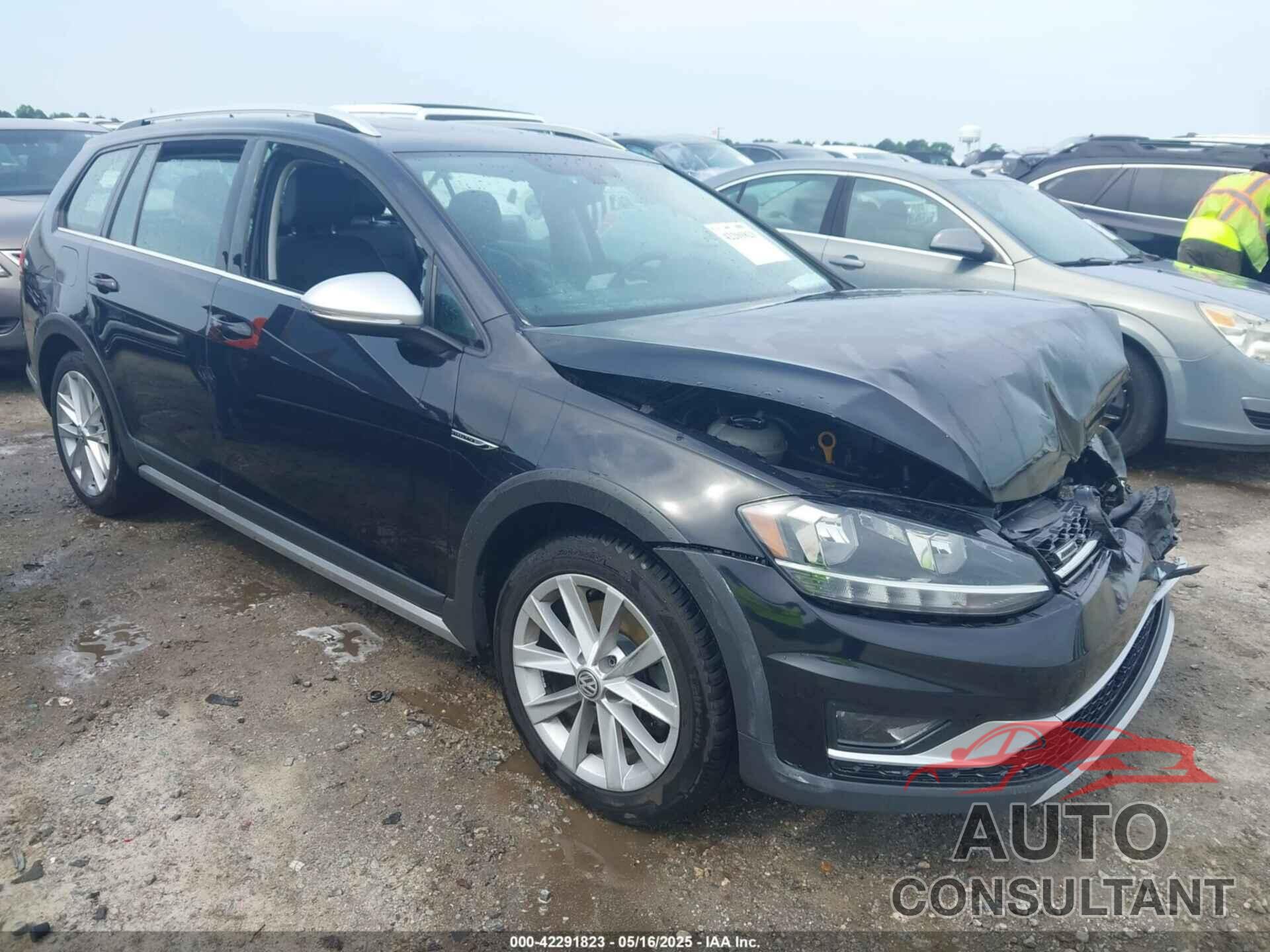 VOLKSWAGEN GOLF ALLTRACK 2019 - 3VWH17AU9KM516123