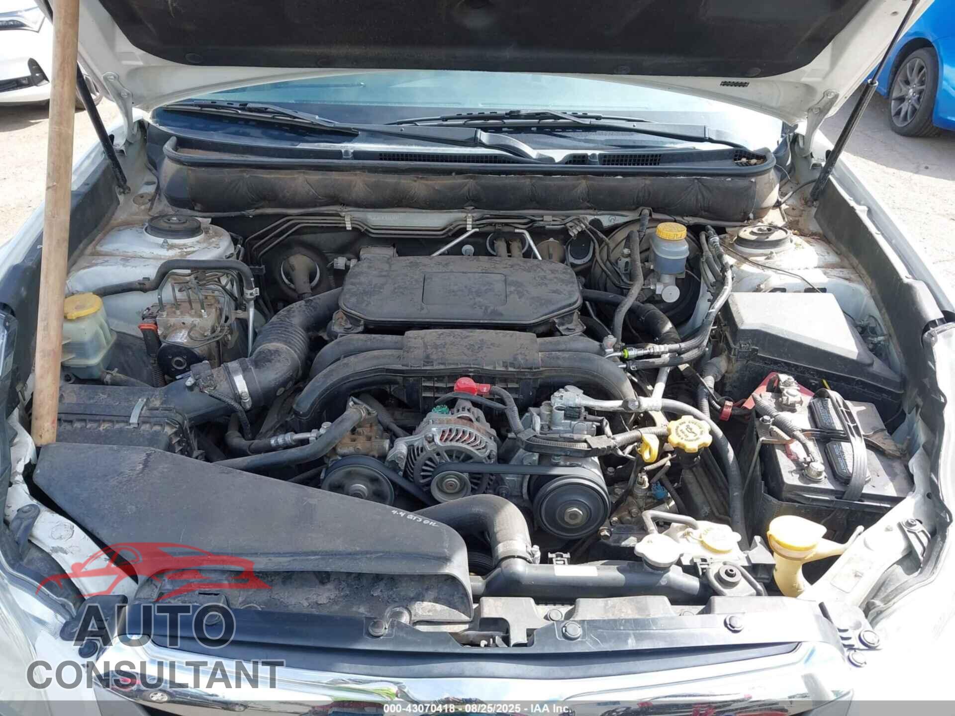 SUBARU OUTBACK 2010 - 4S4BRBBC8A3364728