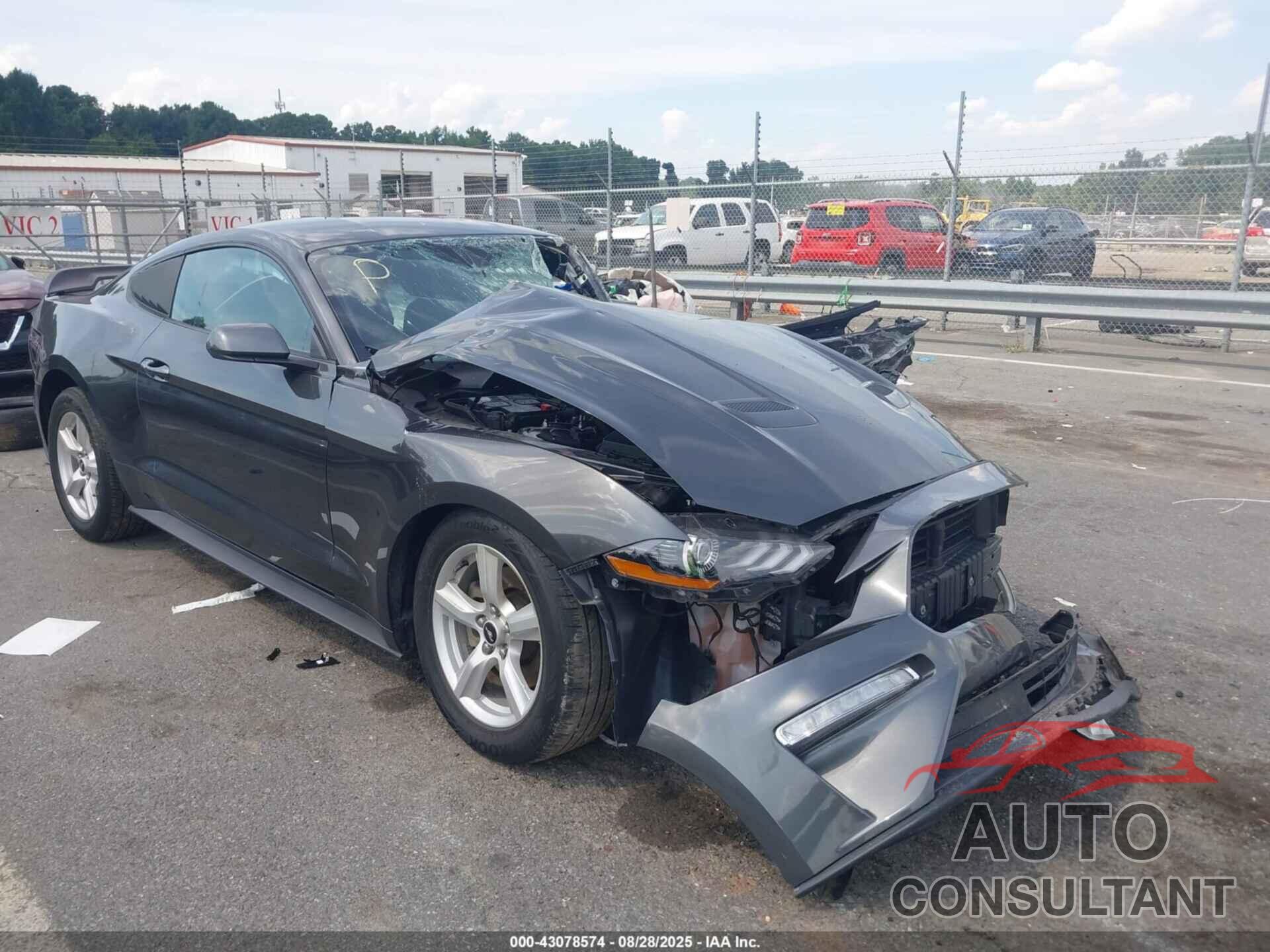 FORD MUSTANG 2019 - 1FA6P8TH6K5117339