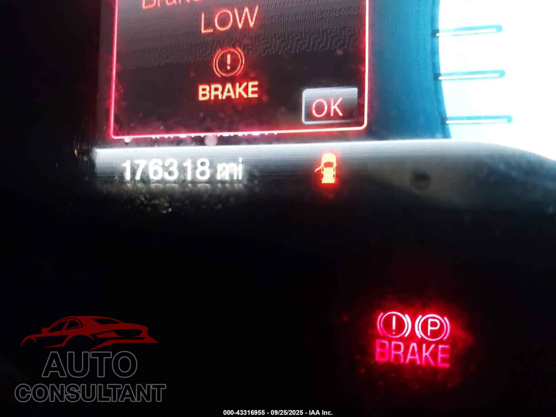 FORD EDGE 2011 - 2FMDK3KC7BBB35655