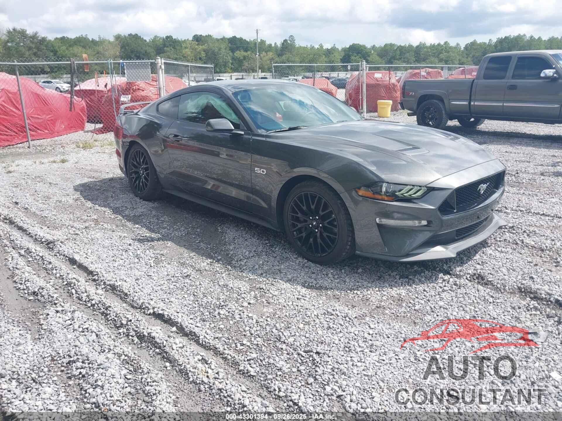 FORD MUSTANG 2019 - 1FA6P8CF6K5113080