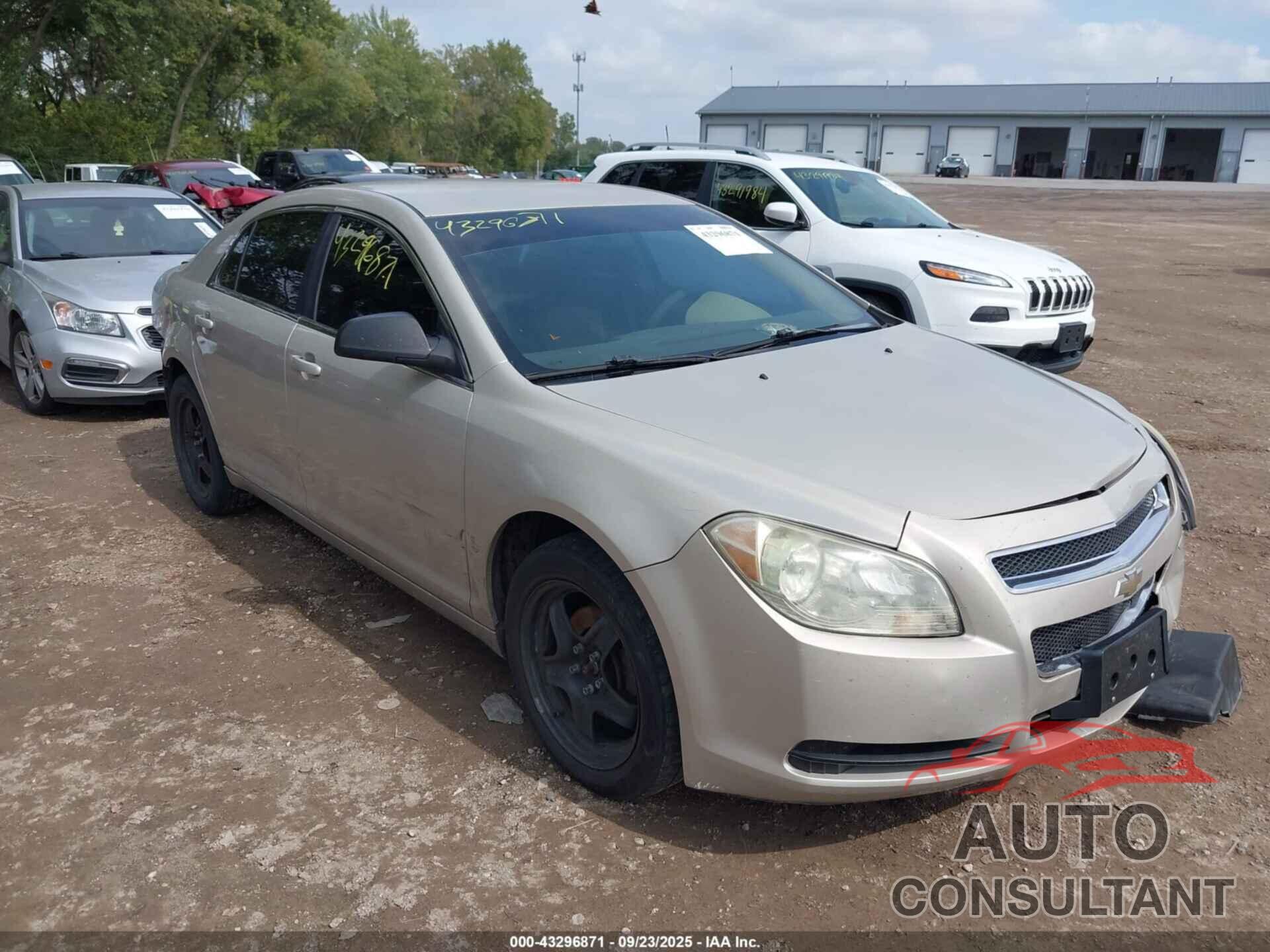 CHEVROLET MALIBU 2010 - 1G1ZA5E08AF290201