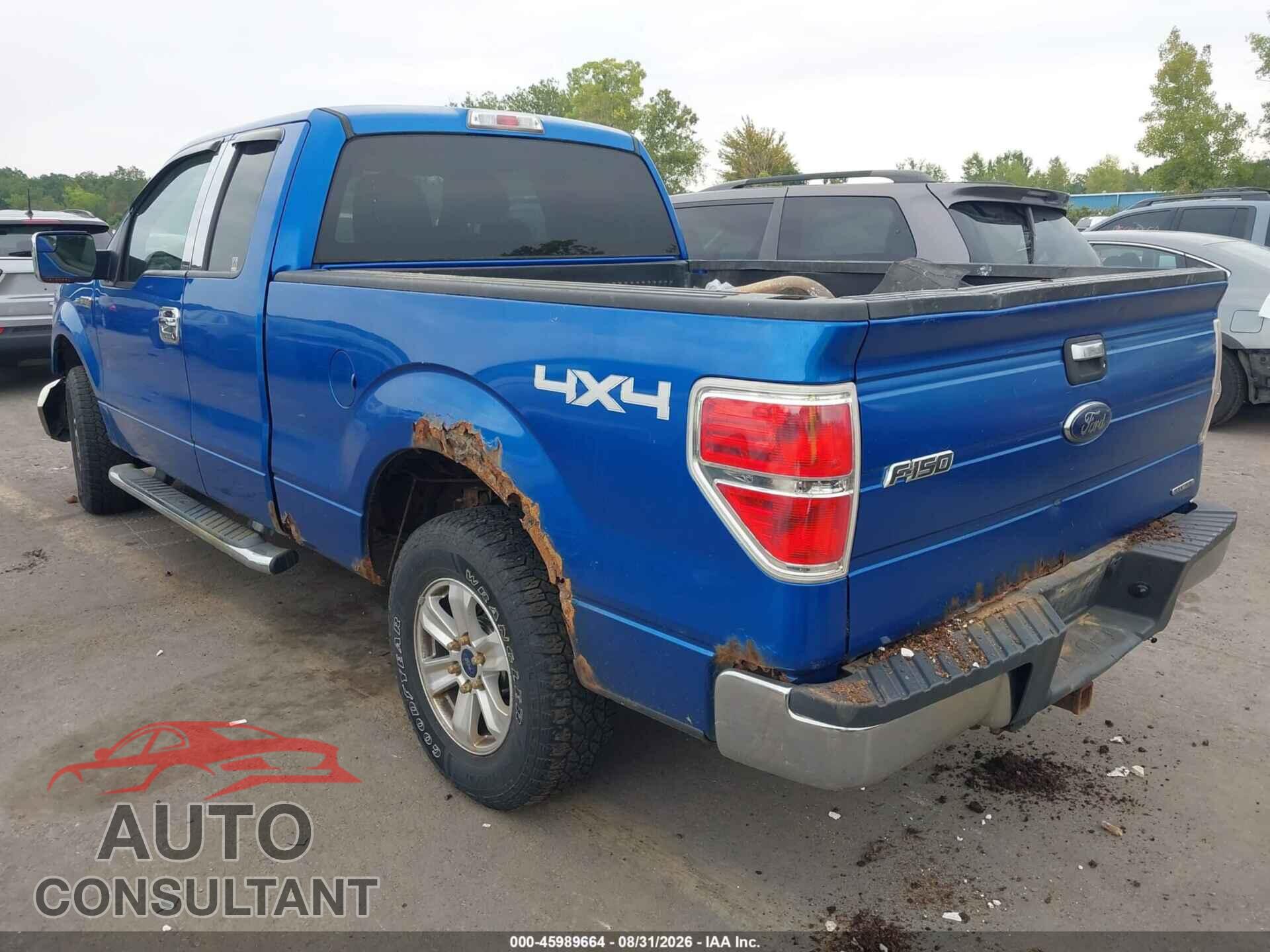 FORD F-150 2013 - 1FTFX1EF7DFD32383