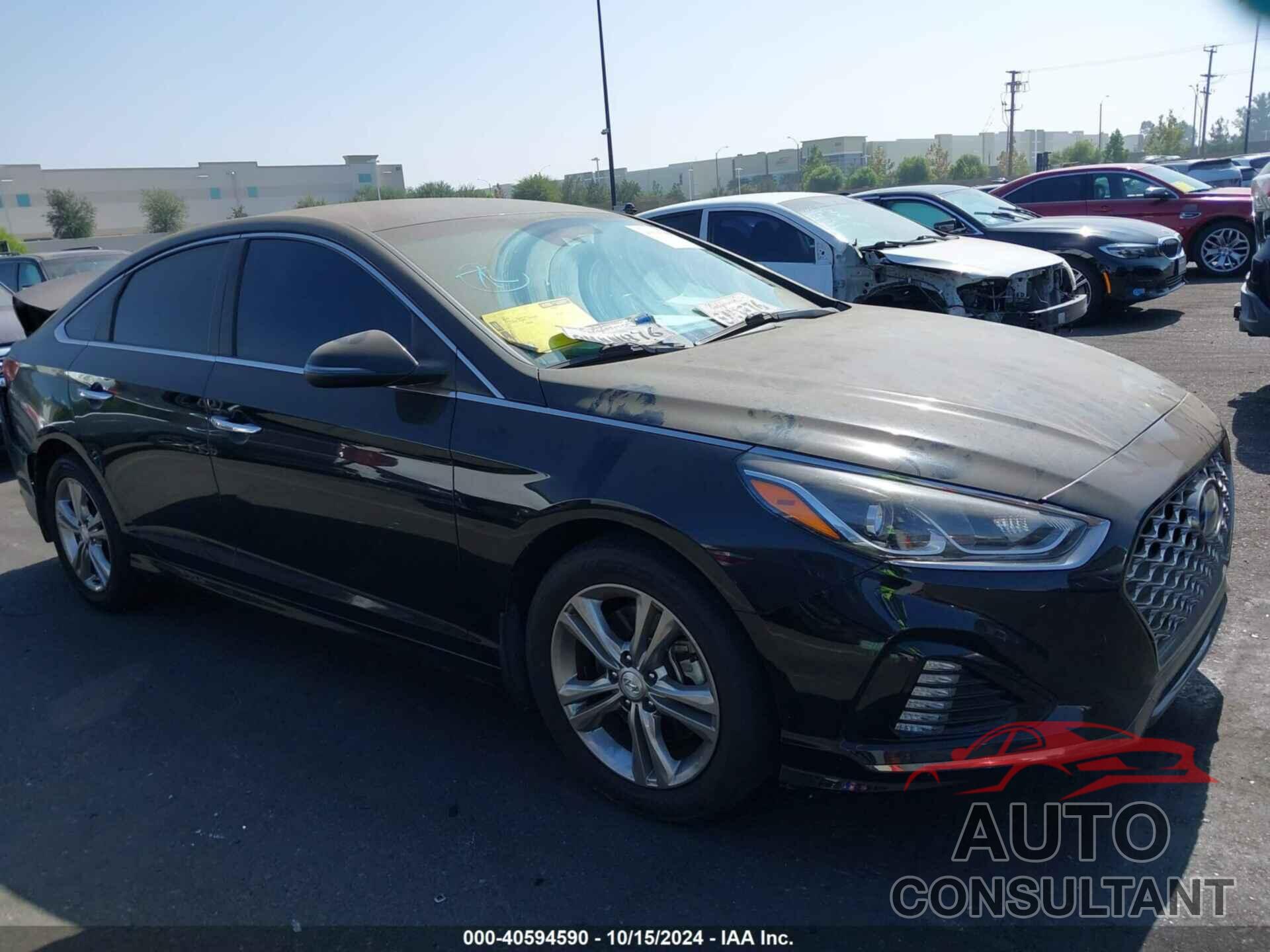HYUNDAI SONATA 2019 - 5NPE34AF6KH794743