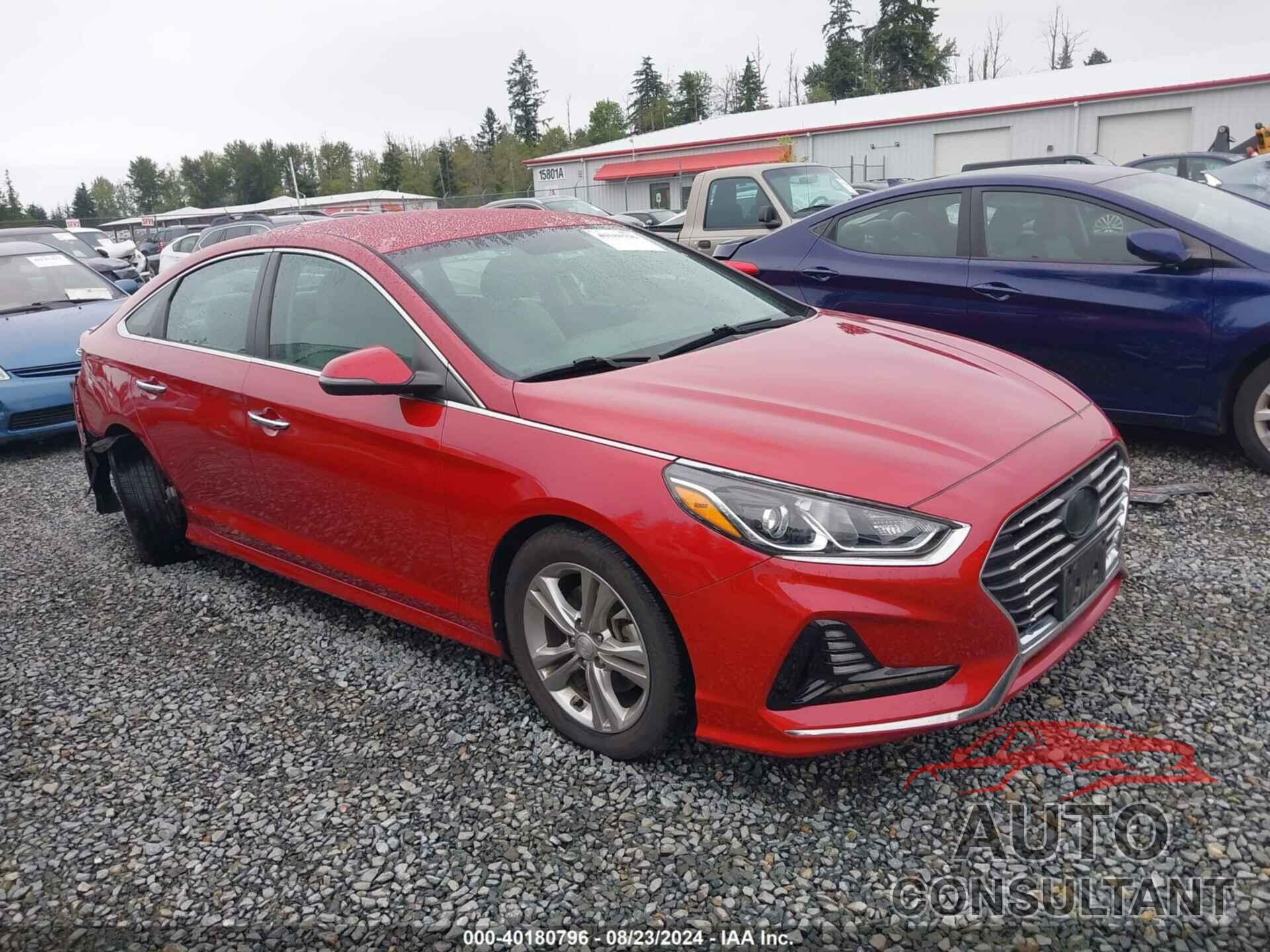 HYUNDAI SONATA 2018 - 5NPE34AF2JH623292