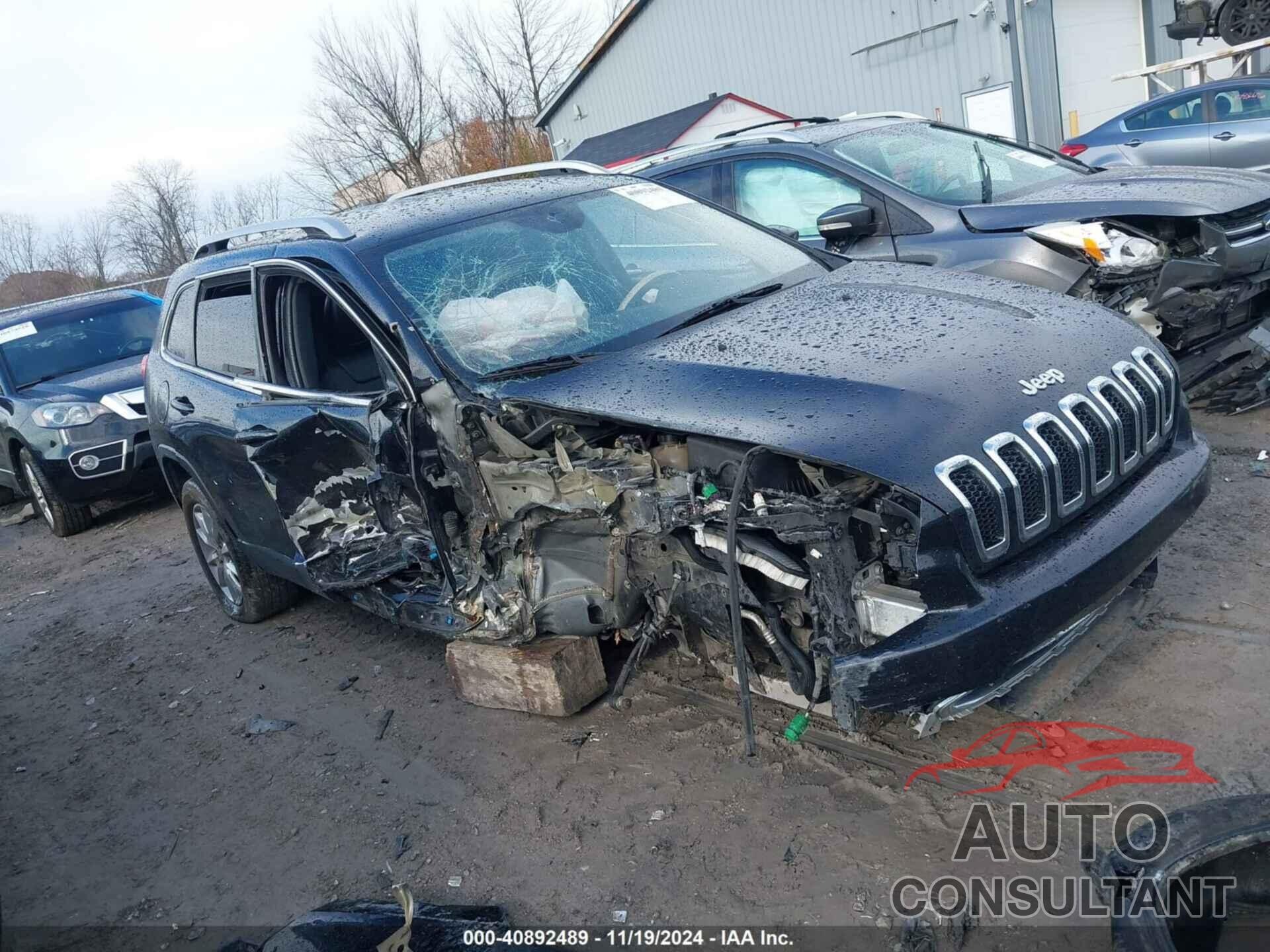 JEEP CHEROKEE 2016 - 1C4PJLDB2GW229179