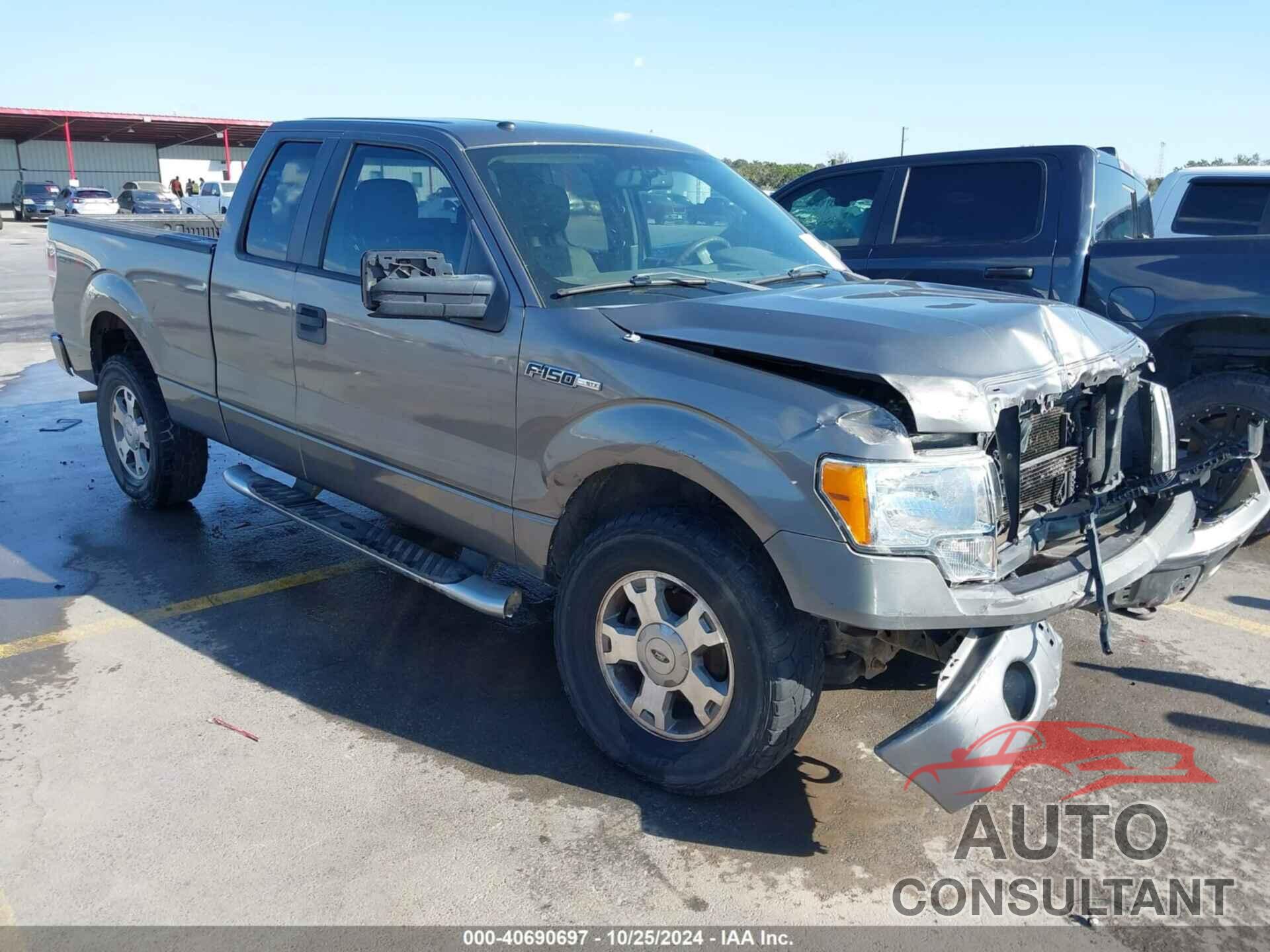 FORD F-150 2009 - 1FTRX14849FB10407