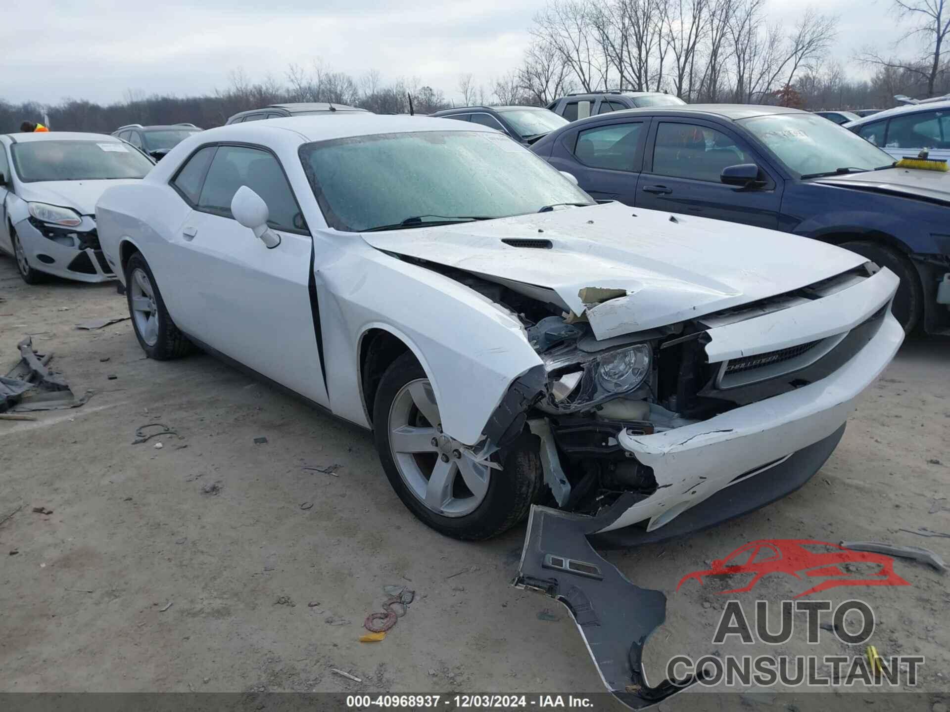 DODGE CHALLENGER 2013 - 2C3CDYAG1DH676135