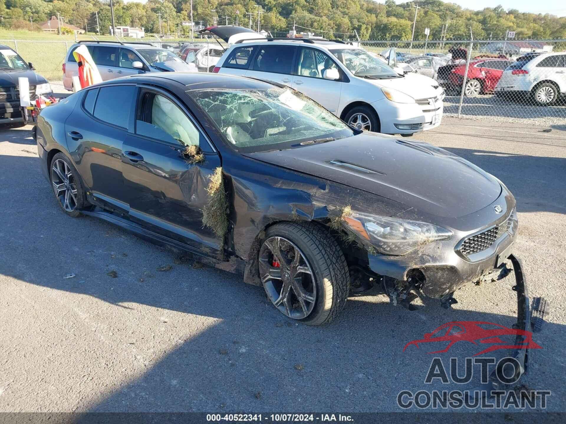 KIA STINGER 2019 - KNAE55LC5K6054529