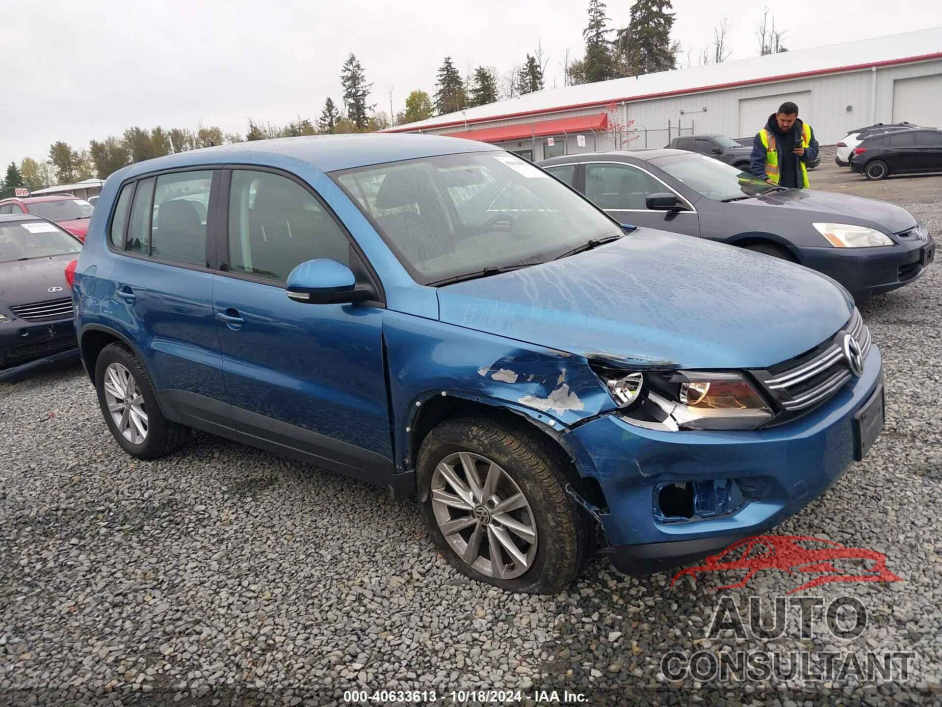 VOLKSWAGEN TIGUAN 2017 - WVGBV7AX8HK053667