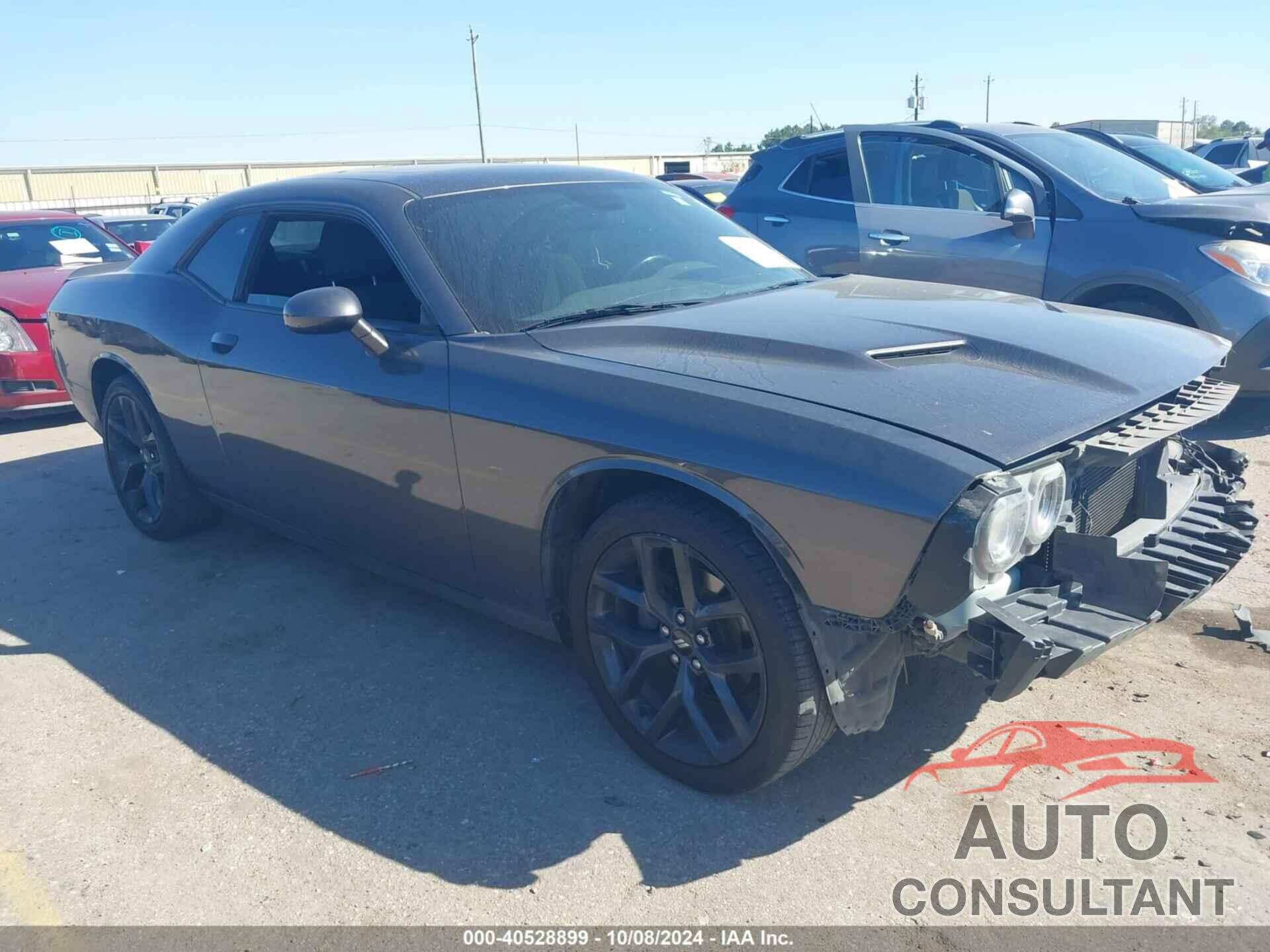 DODGE CHALLENGER 2019 - 2C3CDZAG3KH503395