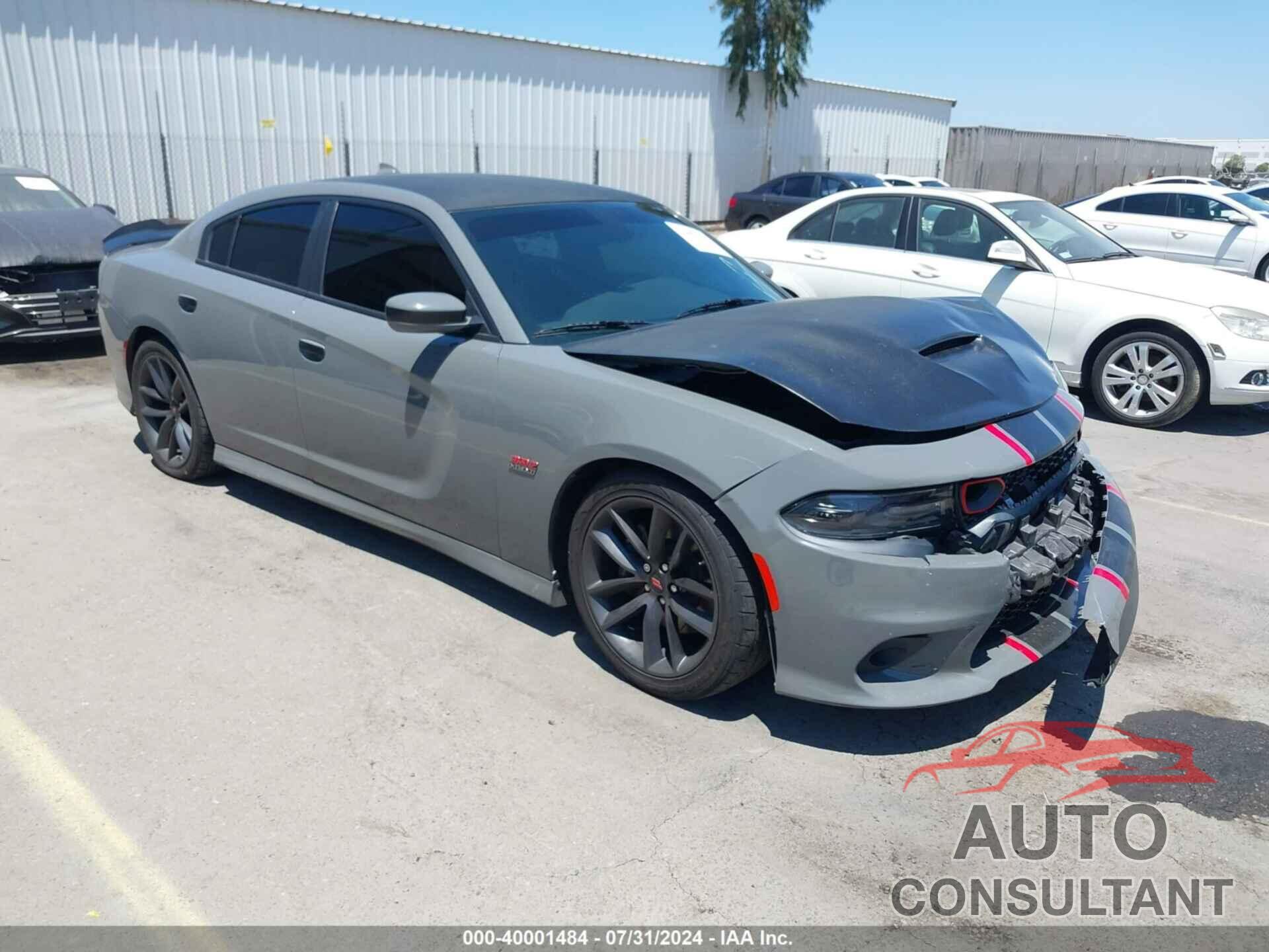 DODGE CHARGER 2019 - 2C3CDXGJ4KH576394