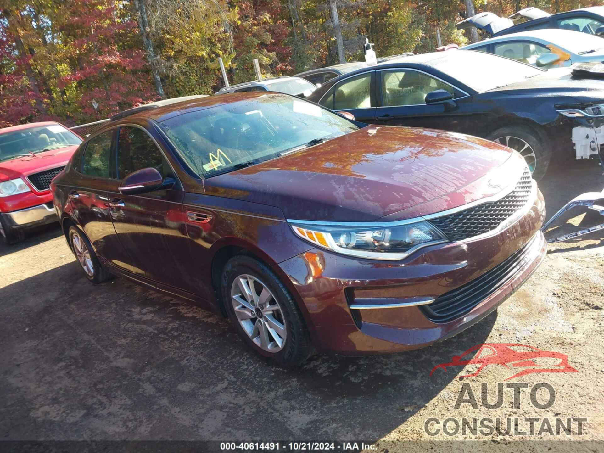 KIA OPTIMA 2017 - 5XXGT4L36HG164334