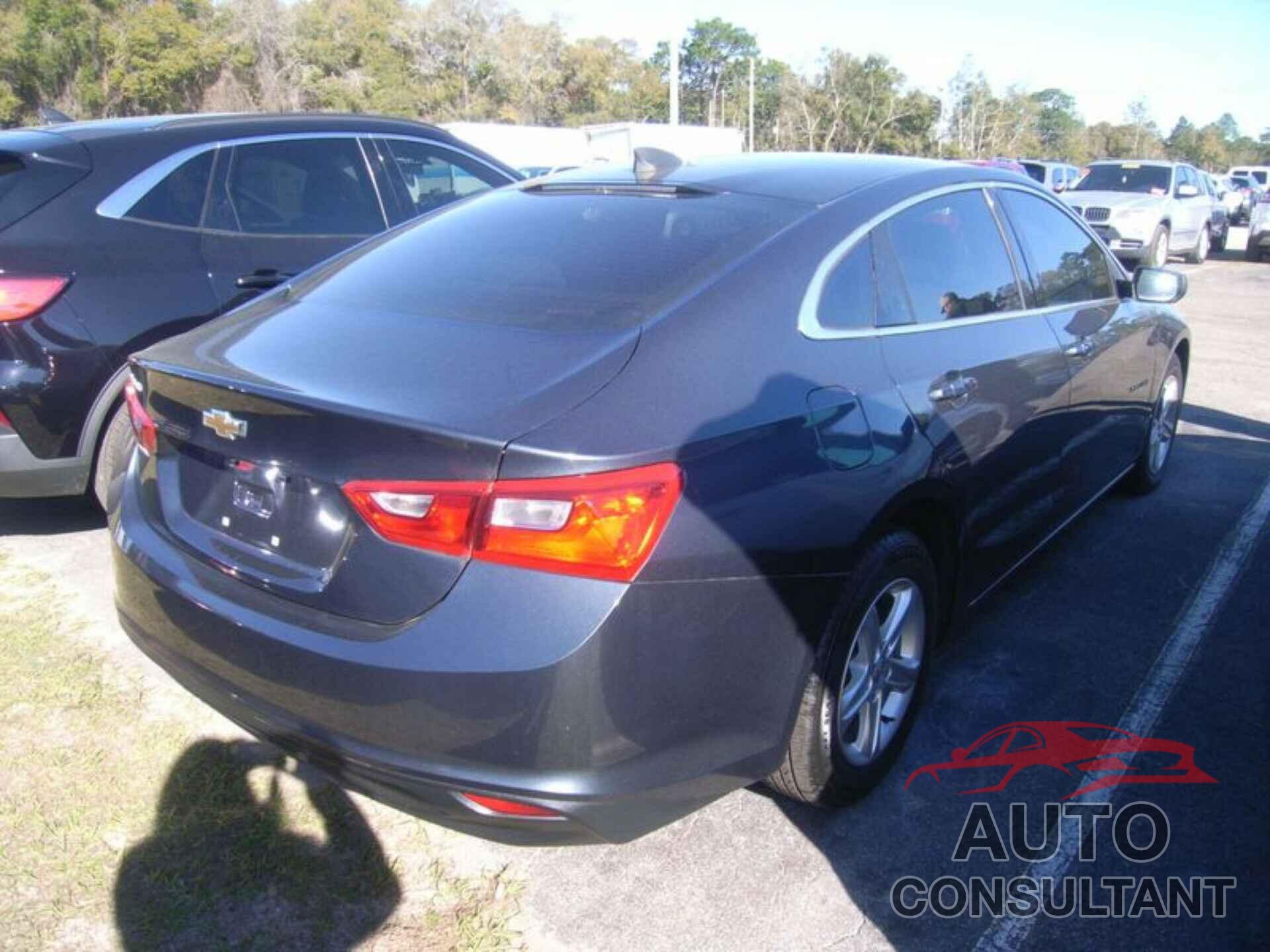 CHEVROLET MALIBU 2019 - 1G1ZC5ST9KF197097