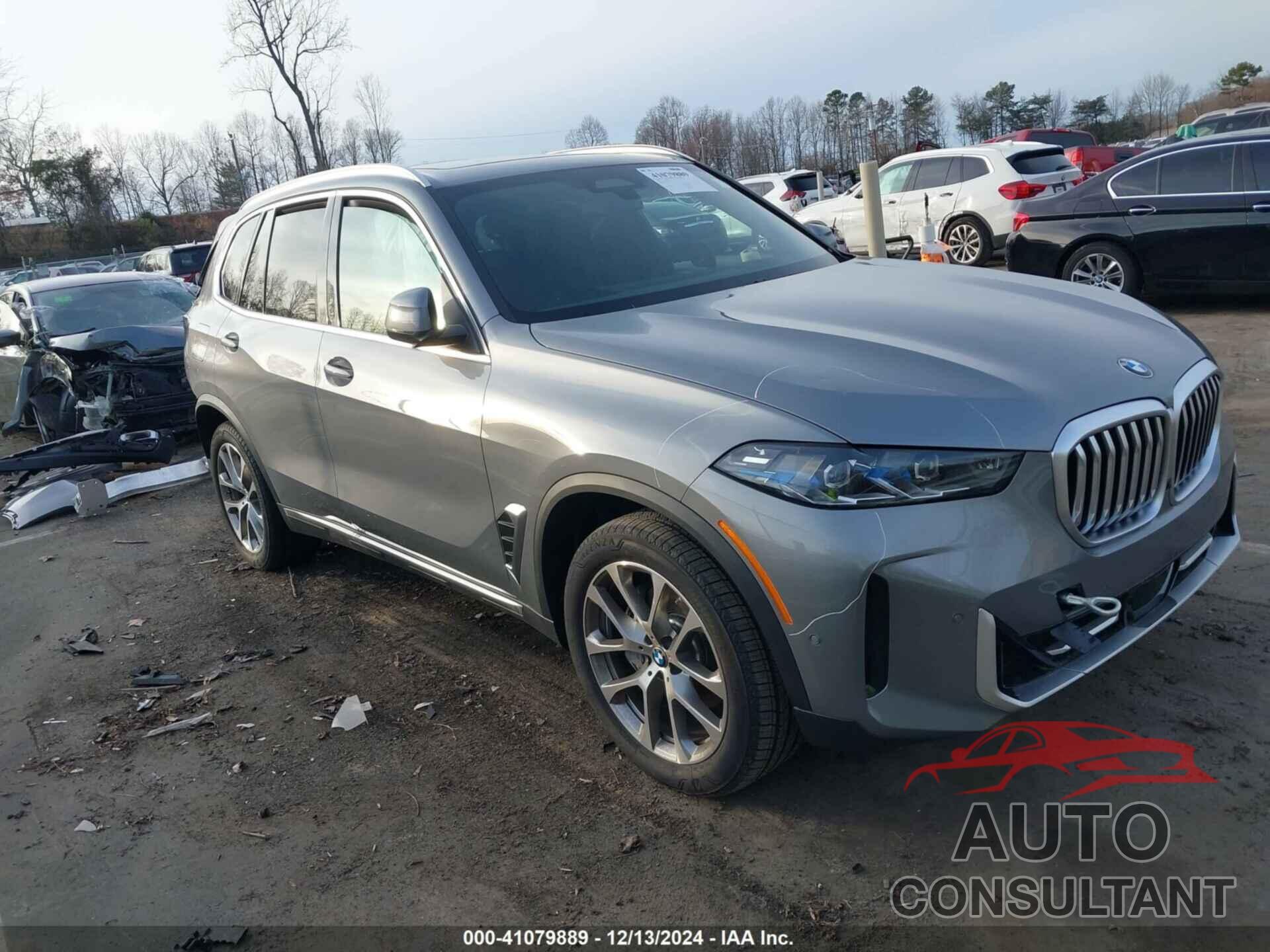 BMW X5 2024 - 5UX13EU00R9W03167